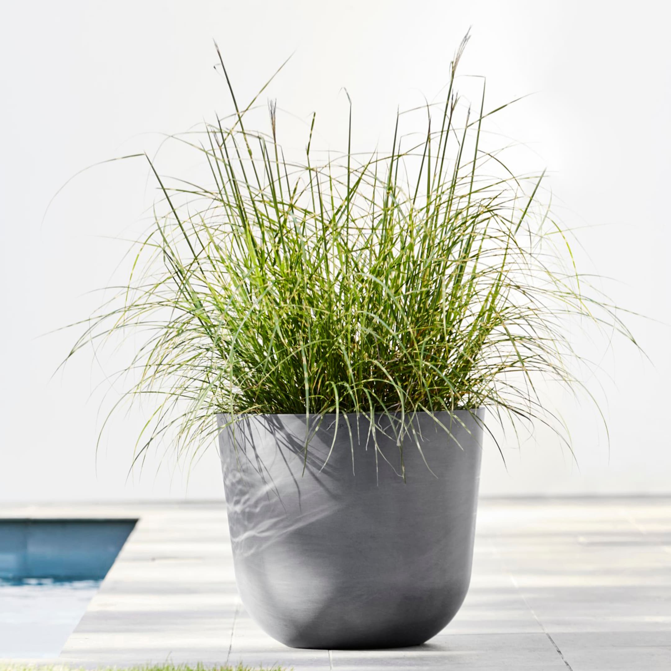 ECOPOTS Blumentopf »Oslo 45 + Wassersystem Grau«, für innen und außen: frostsicher, bruchsicher und lichtbeständig