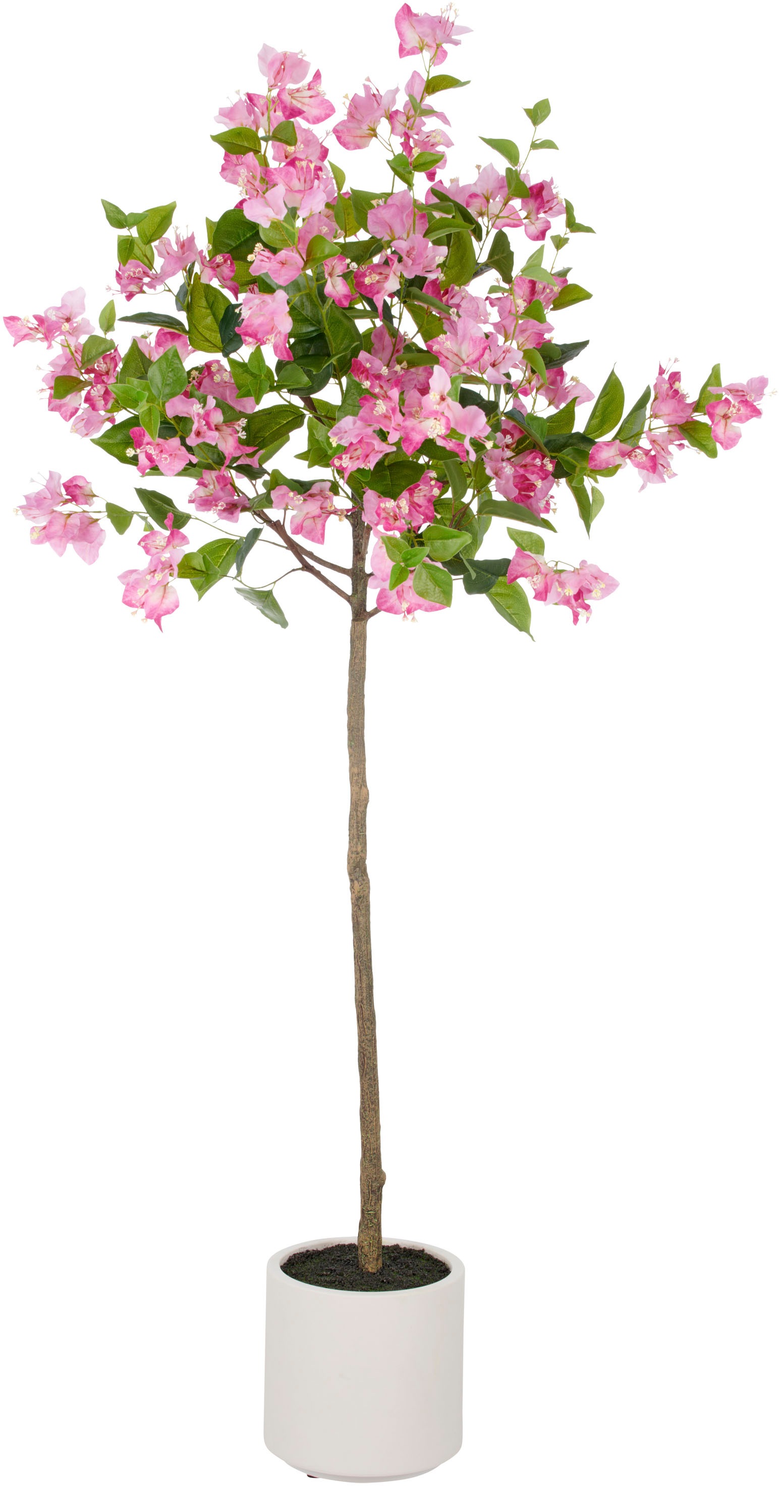 Creativ green Kunstbaum "Bougainvillea", mit zahlreichen Blüten günstig online kaufen