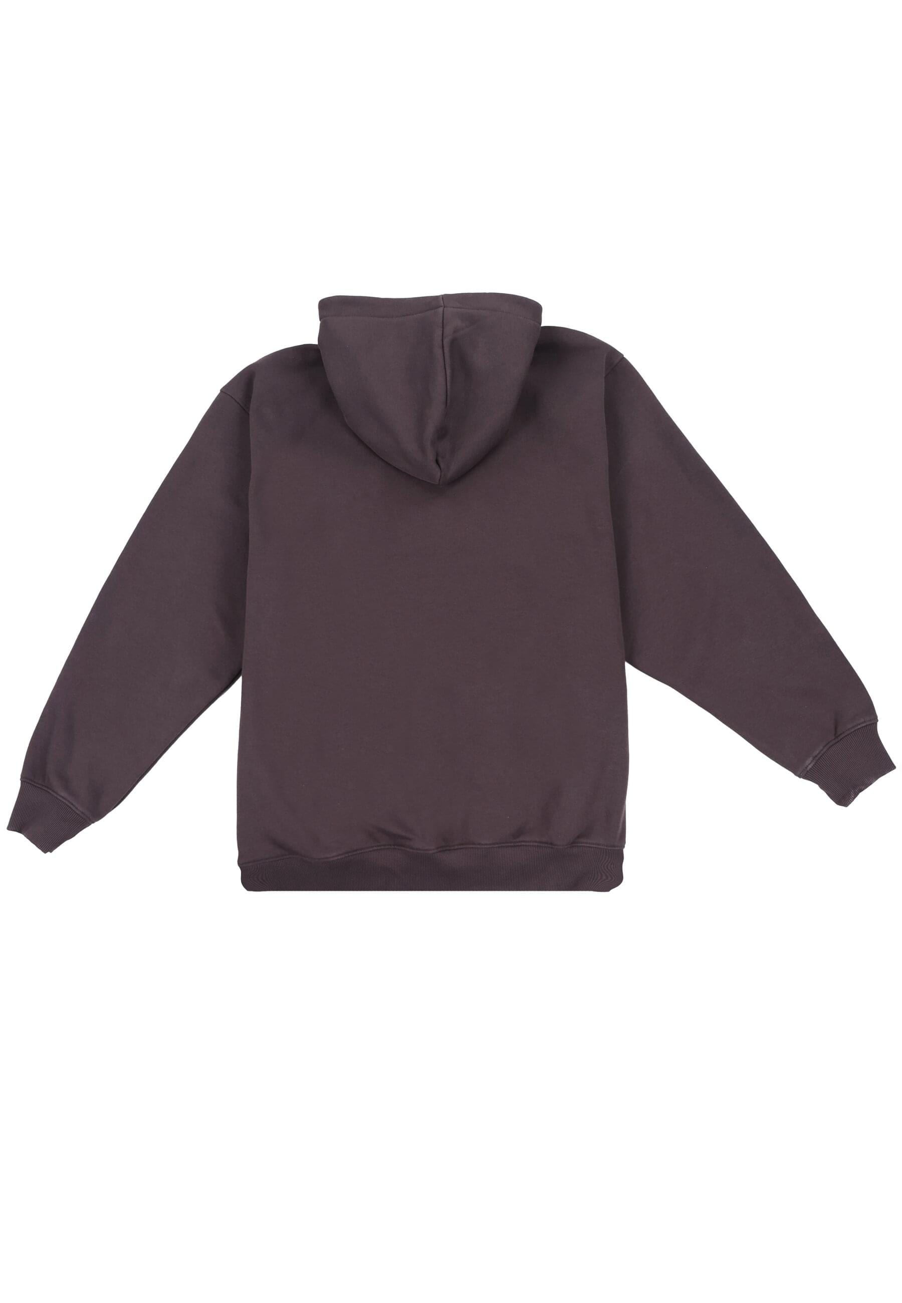 Dropsize Kapuzensweatshirt »Dropsize Dropsize REGULAR FIT HOODIE«, (1 tlg.)