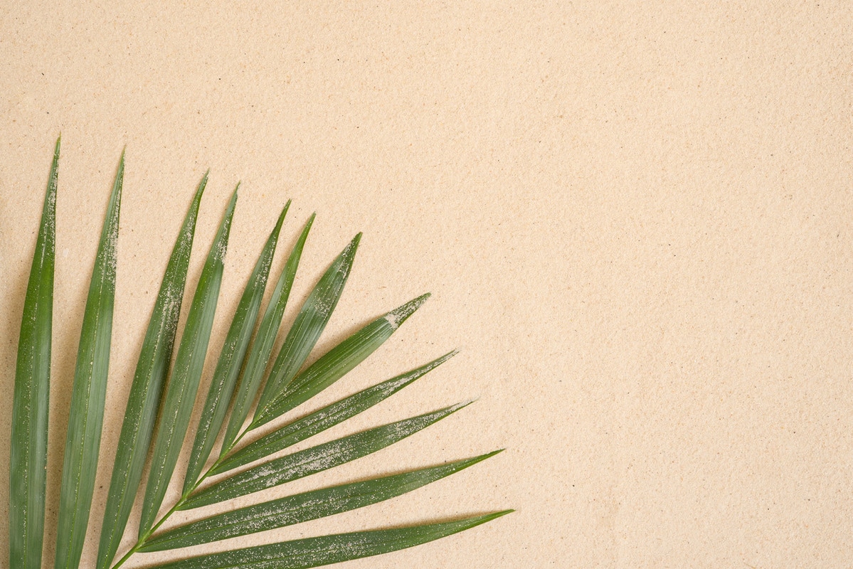 A.S. CRÉATION Vliestapete "Botanik-Tapete Palmenblatt Sand Beige Grün", B/L: 2,5mm x 3,75mm, Rollen:, beige, Wohnzimmer, Tapeten