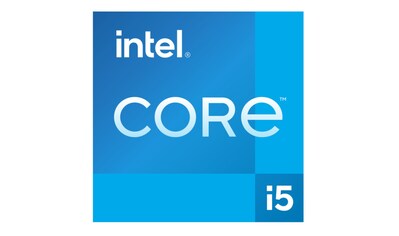 Intel® Prozessor »i5-12600K«, 10Kerne, 3700MHz,FCLGA1700 kaufen