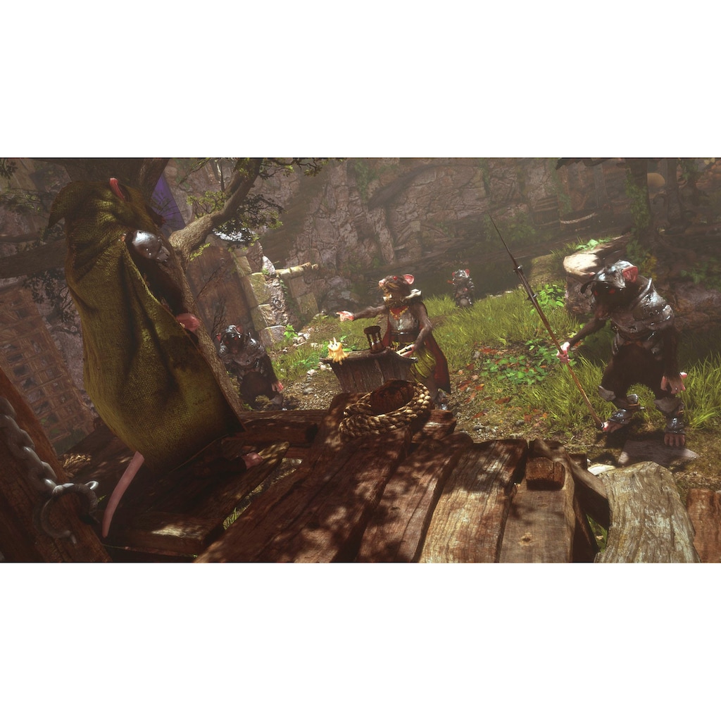 PlayStation 4 Spielesoftware »Ghost of a Tale«, PlayStation 4