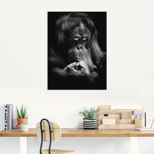 Artland Wandbild »Orang Utan«, Affenbilder, (1 St.), als Alubild,  Leinwandbild, Wandaufkleber oder Poster in versch. Größen kaufen | BAUR