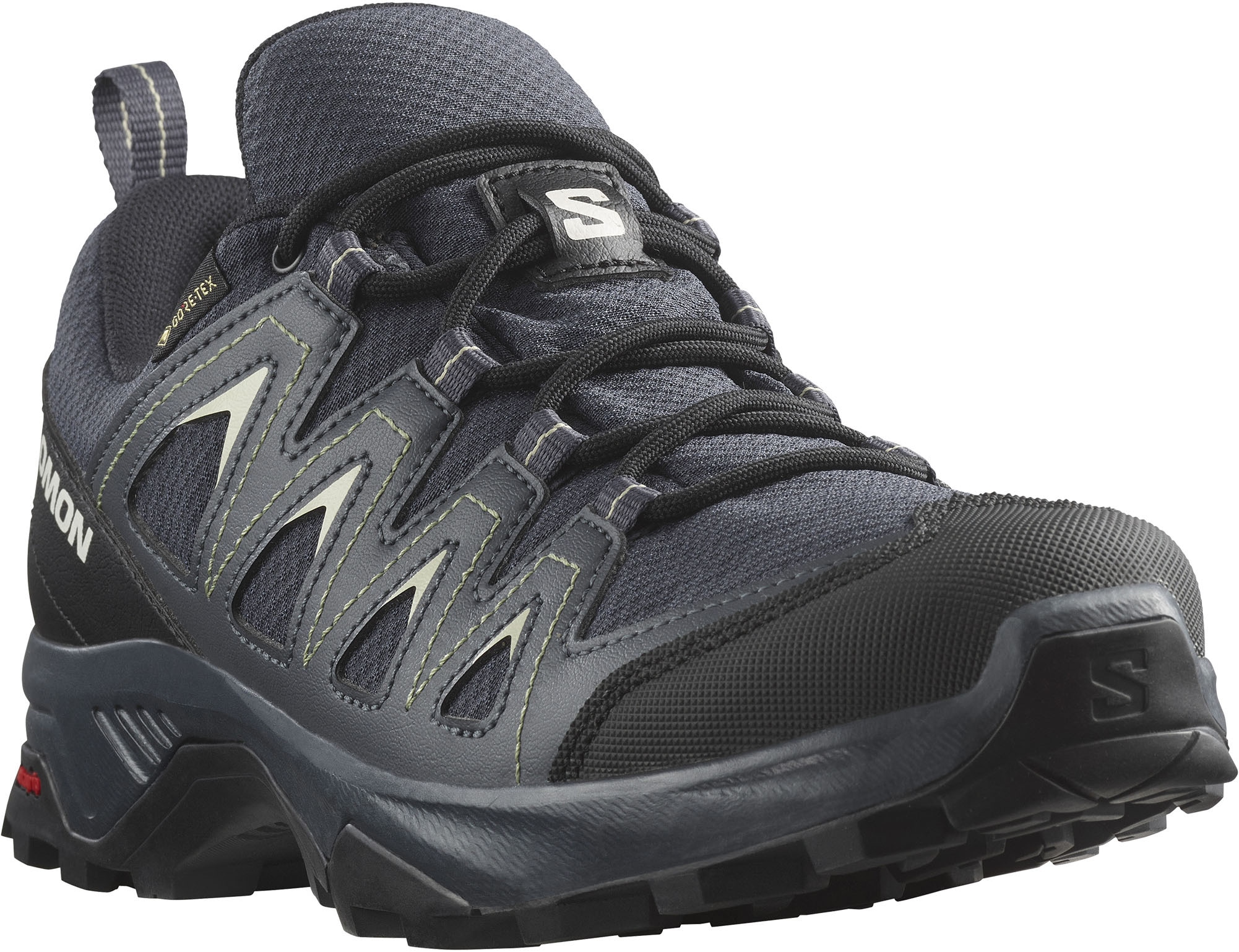 Wanderschuh »X BRAZE GORE-TEX®«, wasserdicht