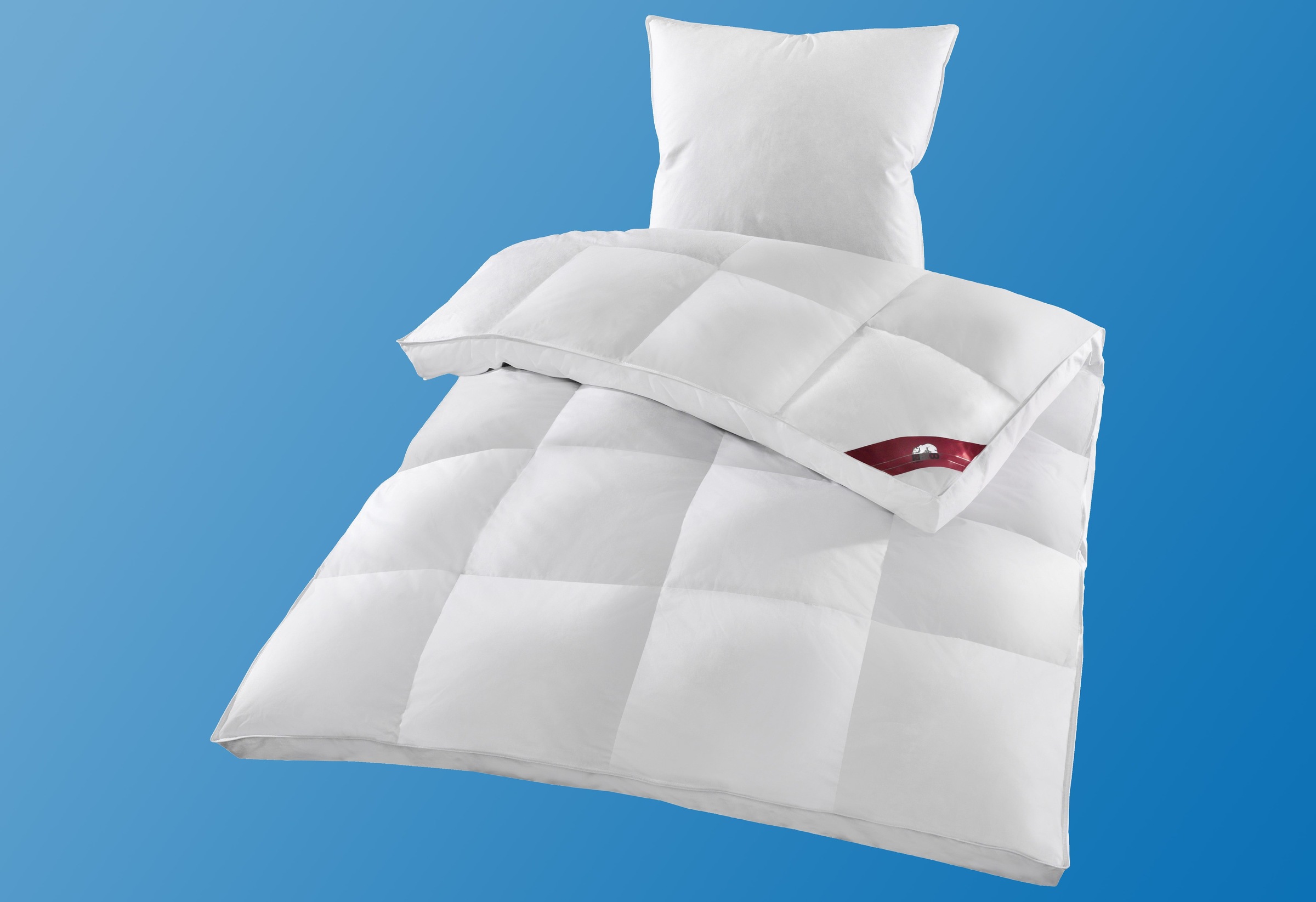 RIBECO Federbettdecke "Emily" extrawarm Füllung 90Federnund10Daunen 1 Stk. günstig online kaufen