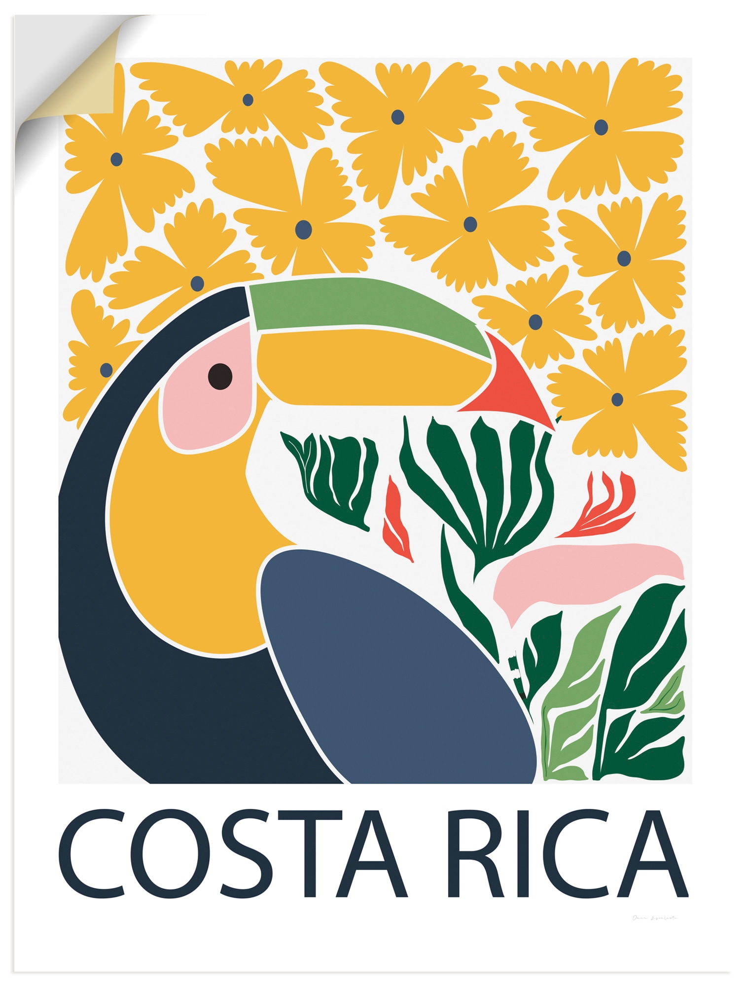 Artland Wandbild "Costa Rica" Vogelbilder 1 Stk. tlg. als Alubild, Leinwandbild, Poster, Wandaufkleber in verschied. Größen