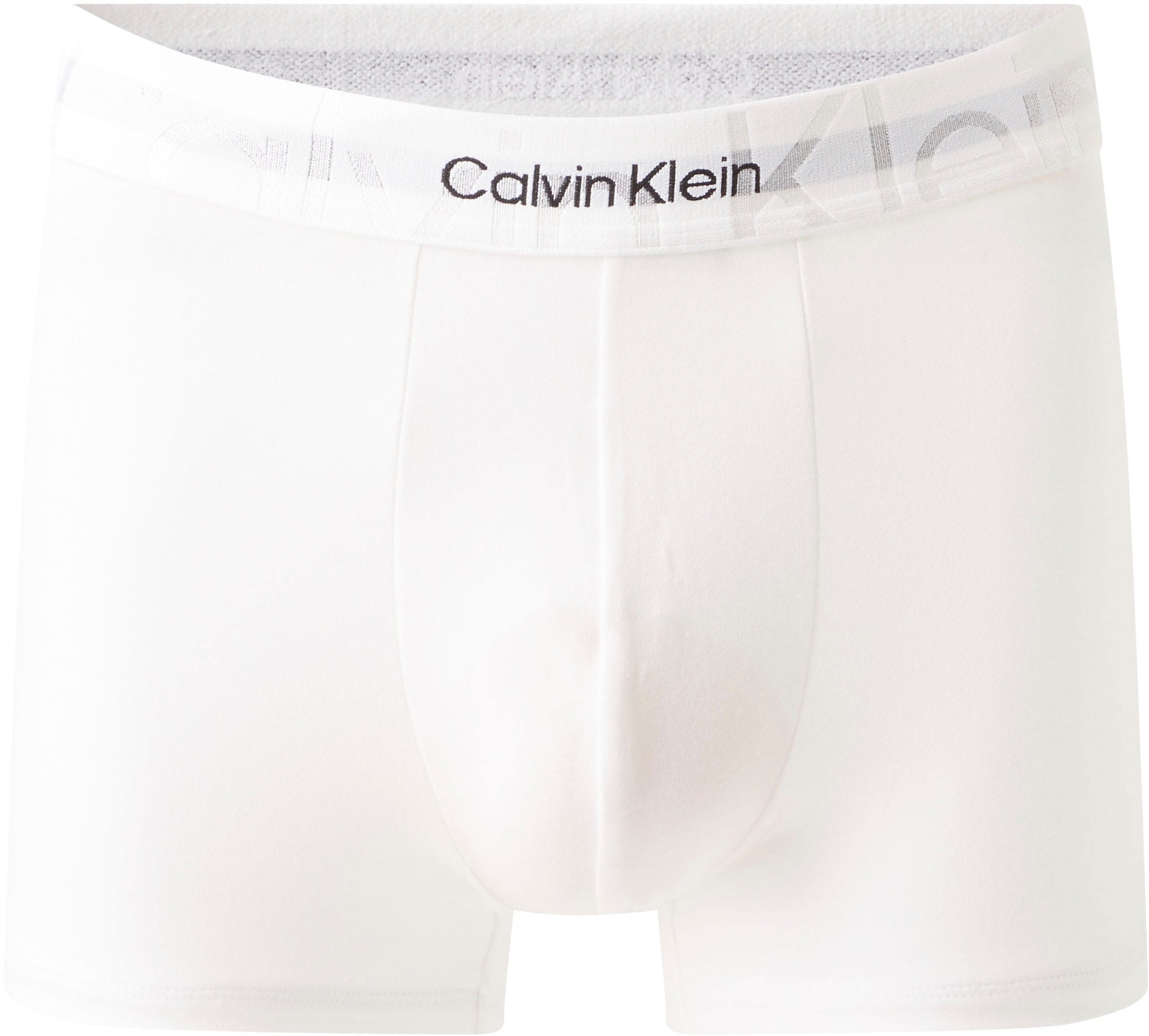 Calvin Klein Underwear Trunk, mit Logoschriftzug am Wäschebund
