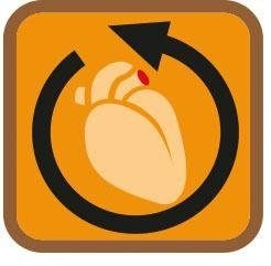 Thumbnail - Janastyle Stützkniestrümpfe "Fresh Travel, idealer Reise- und Alltagsbegleiter, 8-10 mmHg," Set, 3 Paar, hoher Tragekomf...