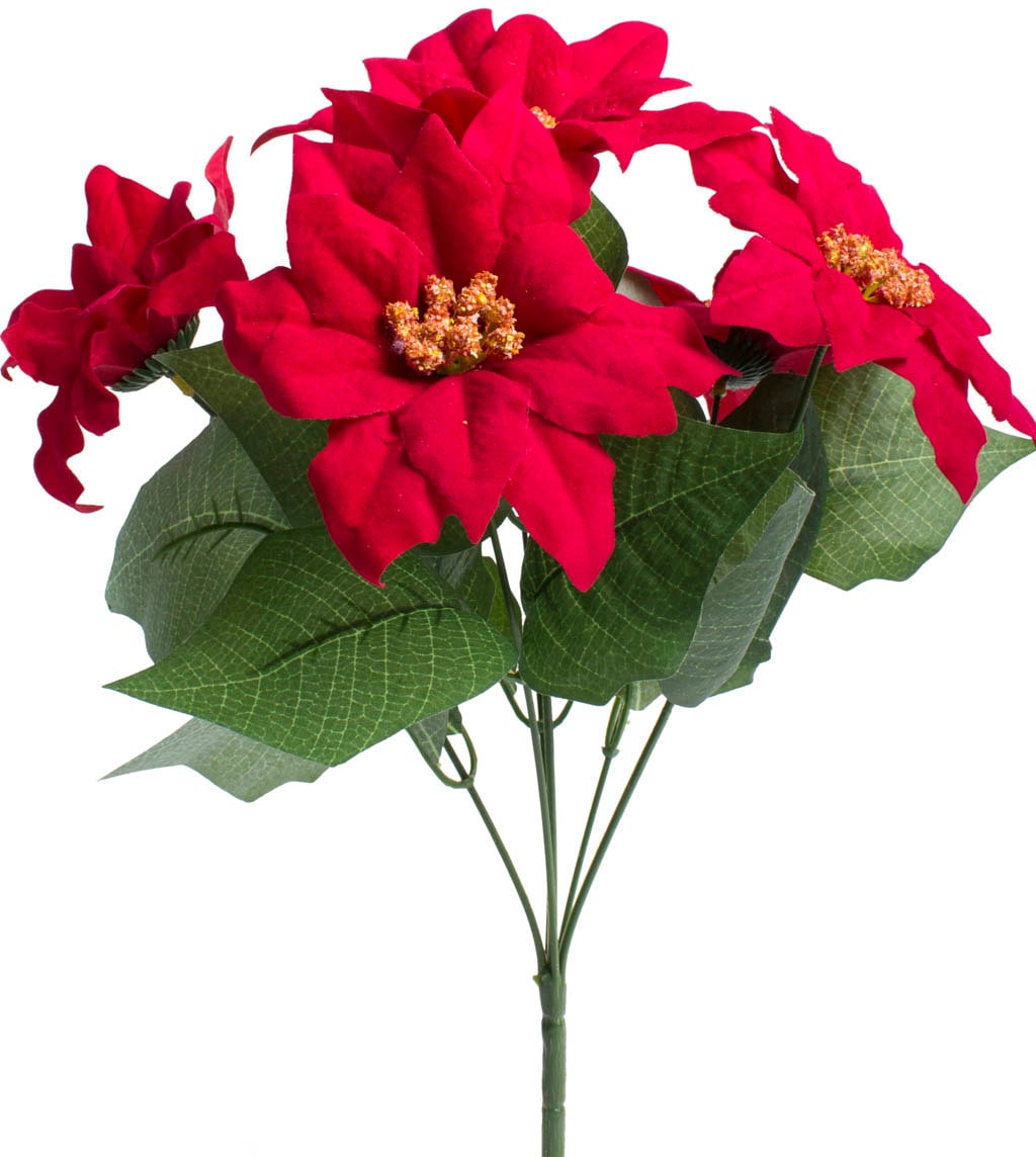 Botanic-Haus Kunstblume »Weihnachtsstern 6 mit kaufen | Blüten« BAUR