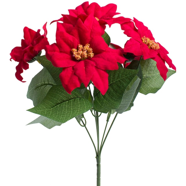 Botanic-Haus Kunstblume »Weihnachtsstern mit 6 Blüten« kaufen | BAUR