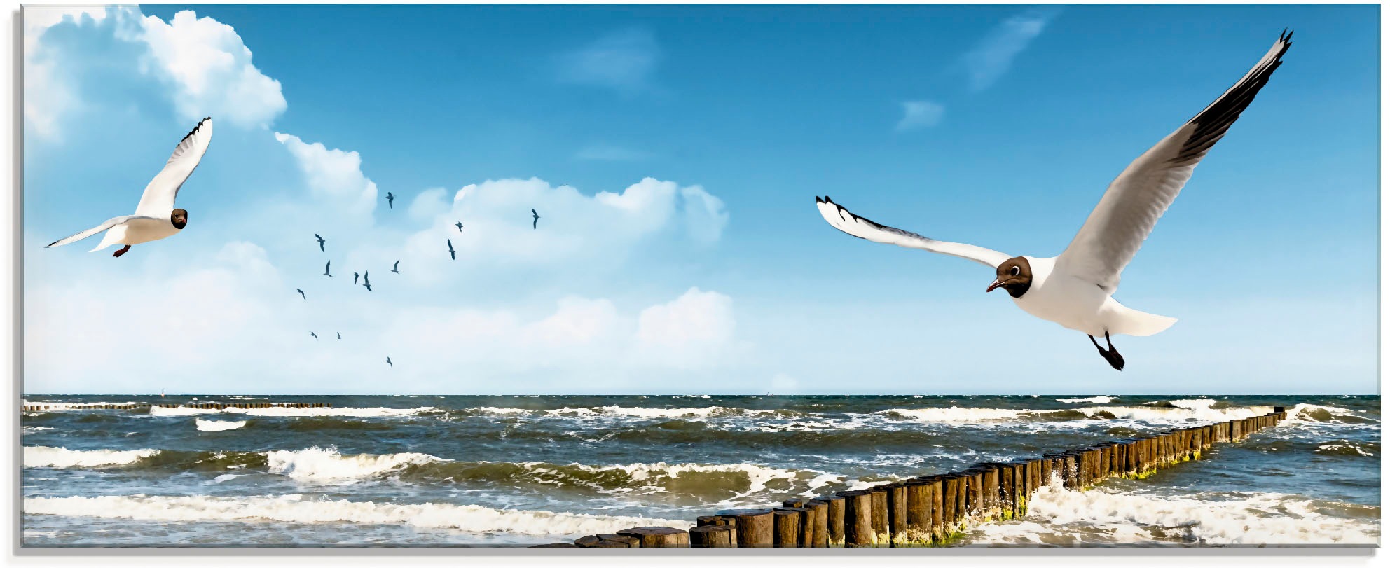 Artland Glasbild "Ostsee" Gewässer 1 Stk. tlg. in verschiedenen Größen günstig online kaufen