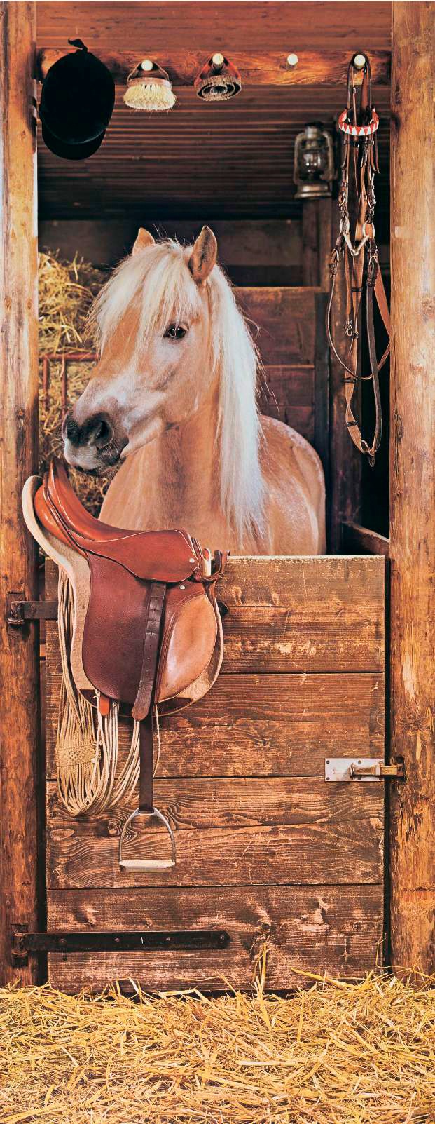 Papermoon Fototapete »Horse in Stable - Türtapete«, matt