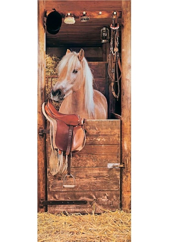 Papermoon Fototapetas »Horse in Stable - Türtape...