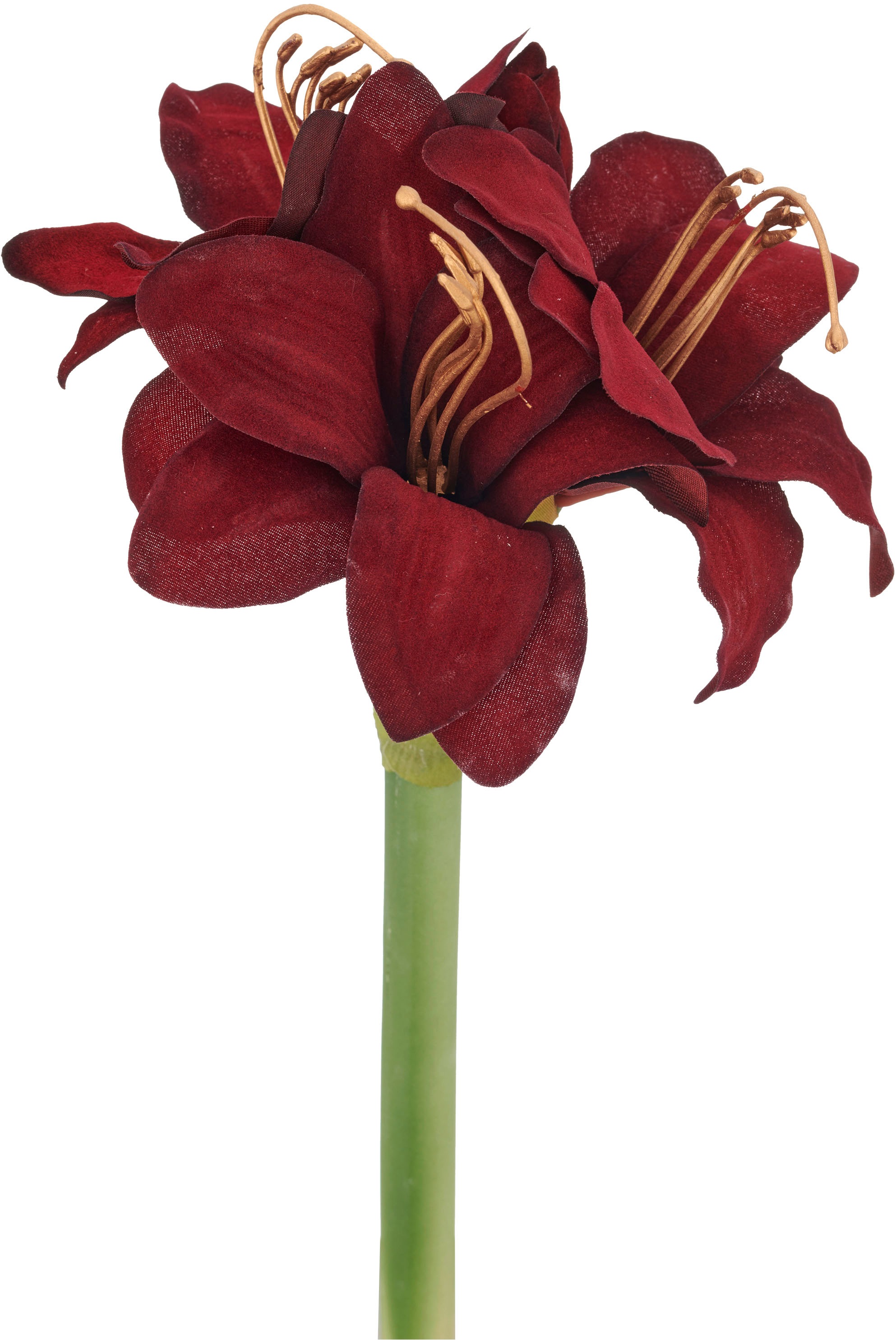 Creativ green Kunstblume "Amaryllis" günstig online kaufen