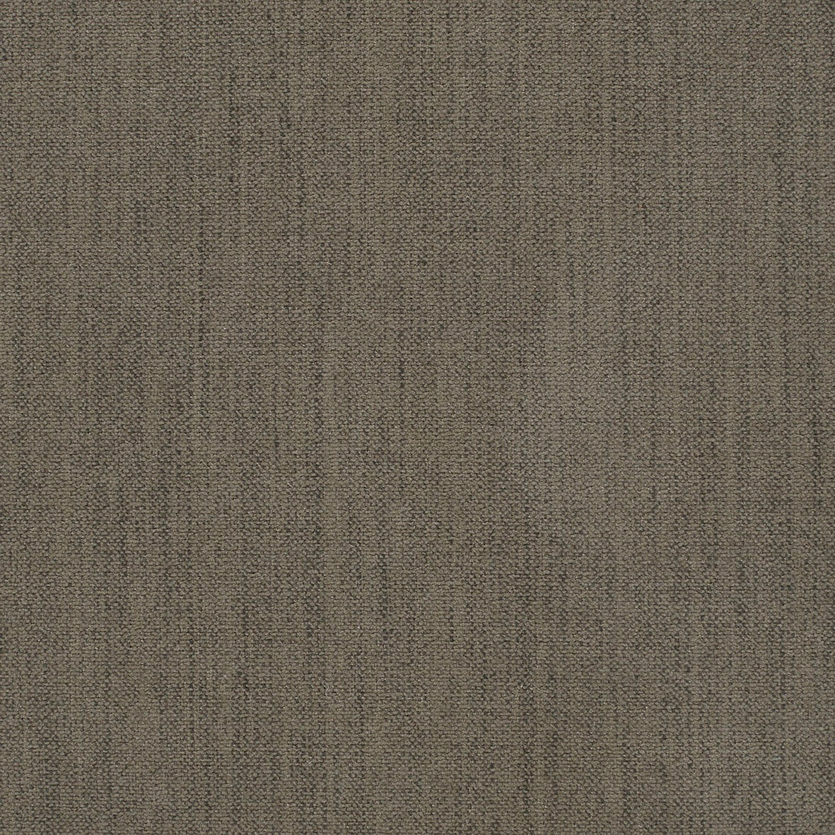 dusty olive