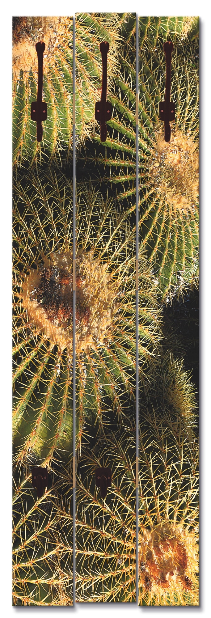 Artland Garderobenleiste »Arizona golden barrels«, teilmontiert