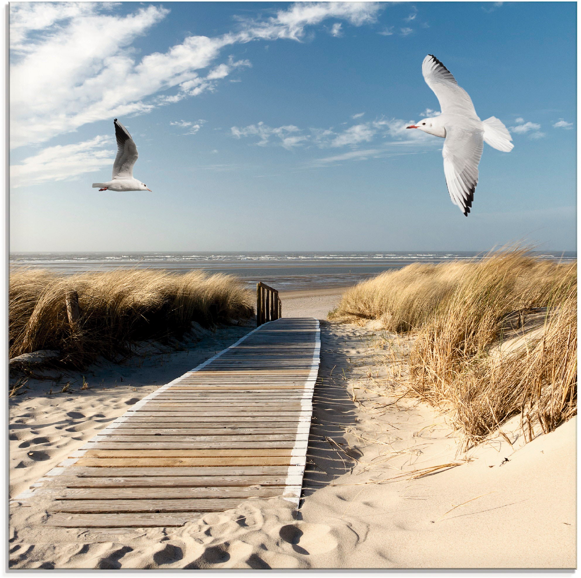 Glasbild ARTLAND "Nordseestrand auf Langeoog mit Möwen", blau (farbe bild(er): blau), B:40cm H:40cm, Bilder, in verschiedenen Größen