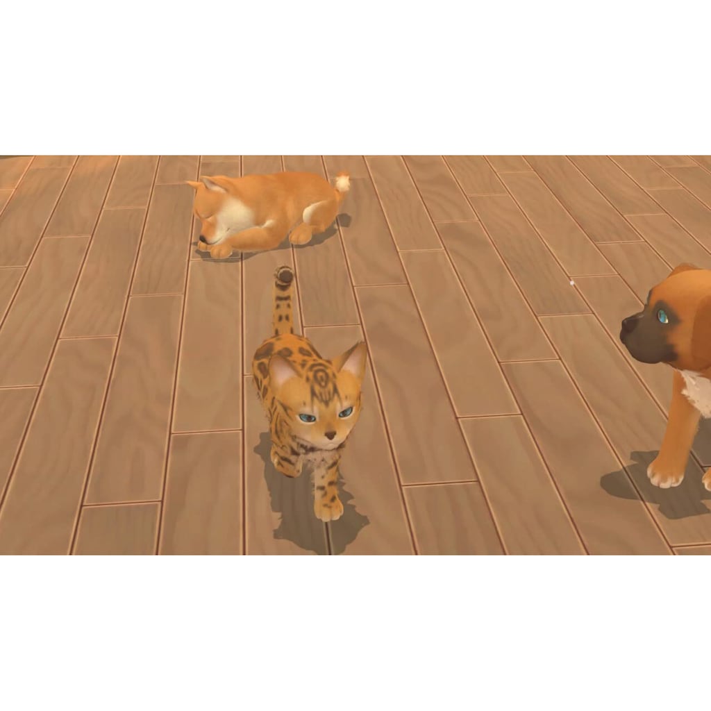 Astragon Spielesoftware »My Universe - Hunde- und Katzenbabys«, Nintendo Switch