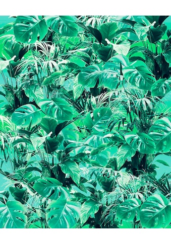 Komar Vliestapete »Evergreen« 200x250 cm (Br...