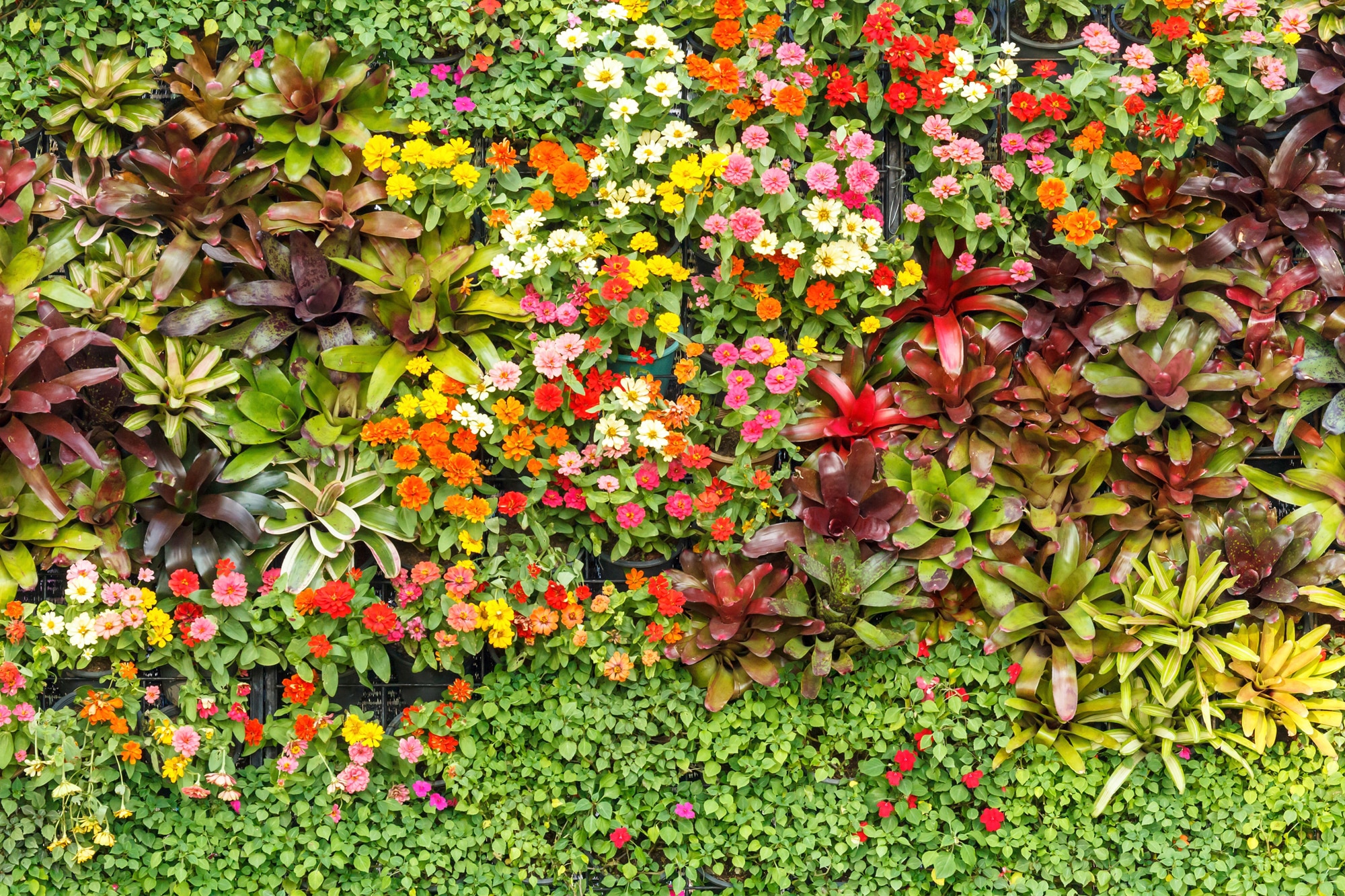 Papermoon "BLUMEN-ABSTRAKT MUSTER GARTEN PFLANZEN DEKOR NATUR"