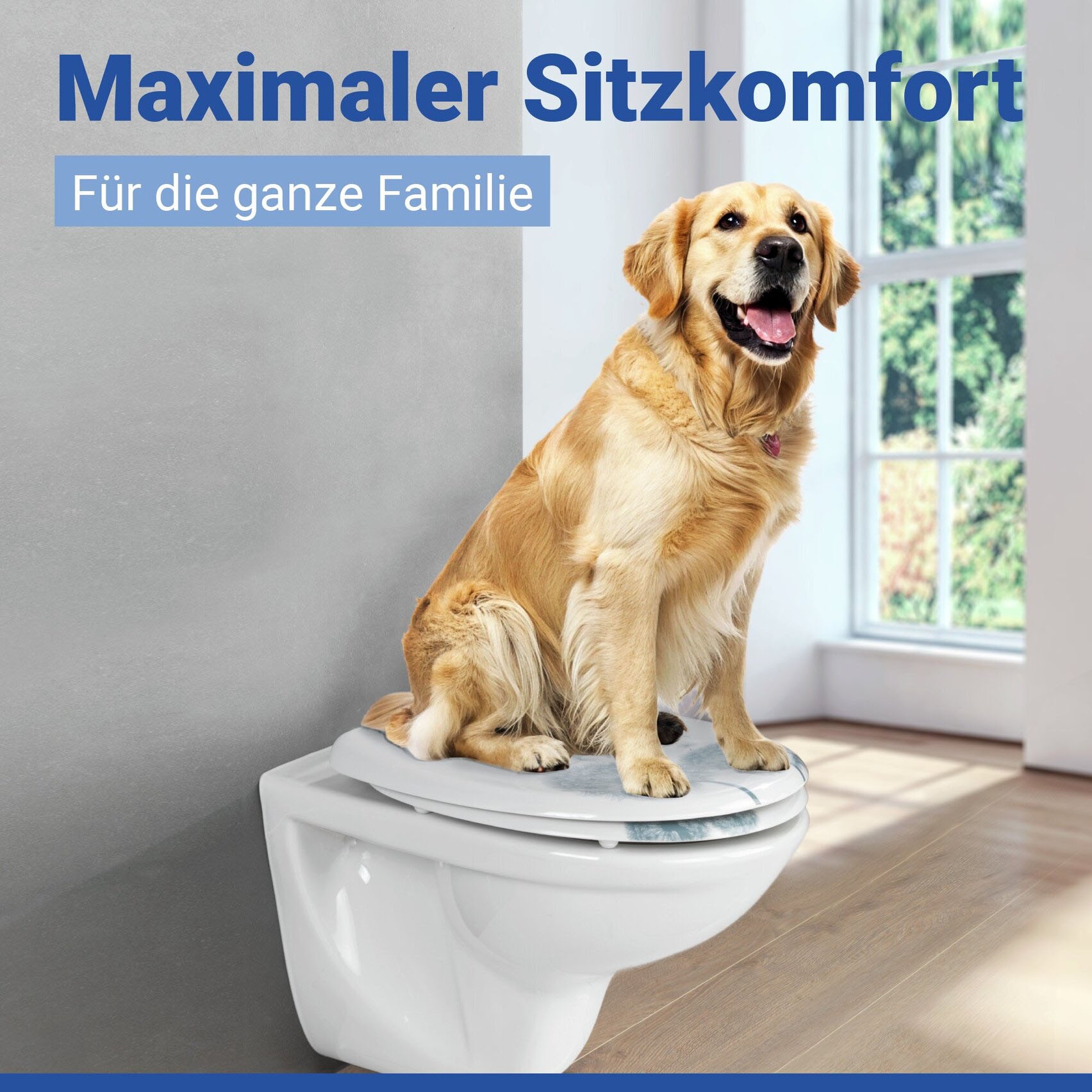 WENKO WC-Sitz »Astera« Duroplast, mit Absenkautomatik