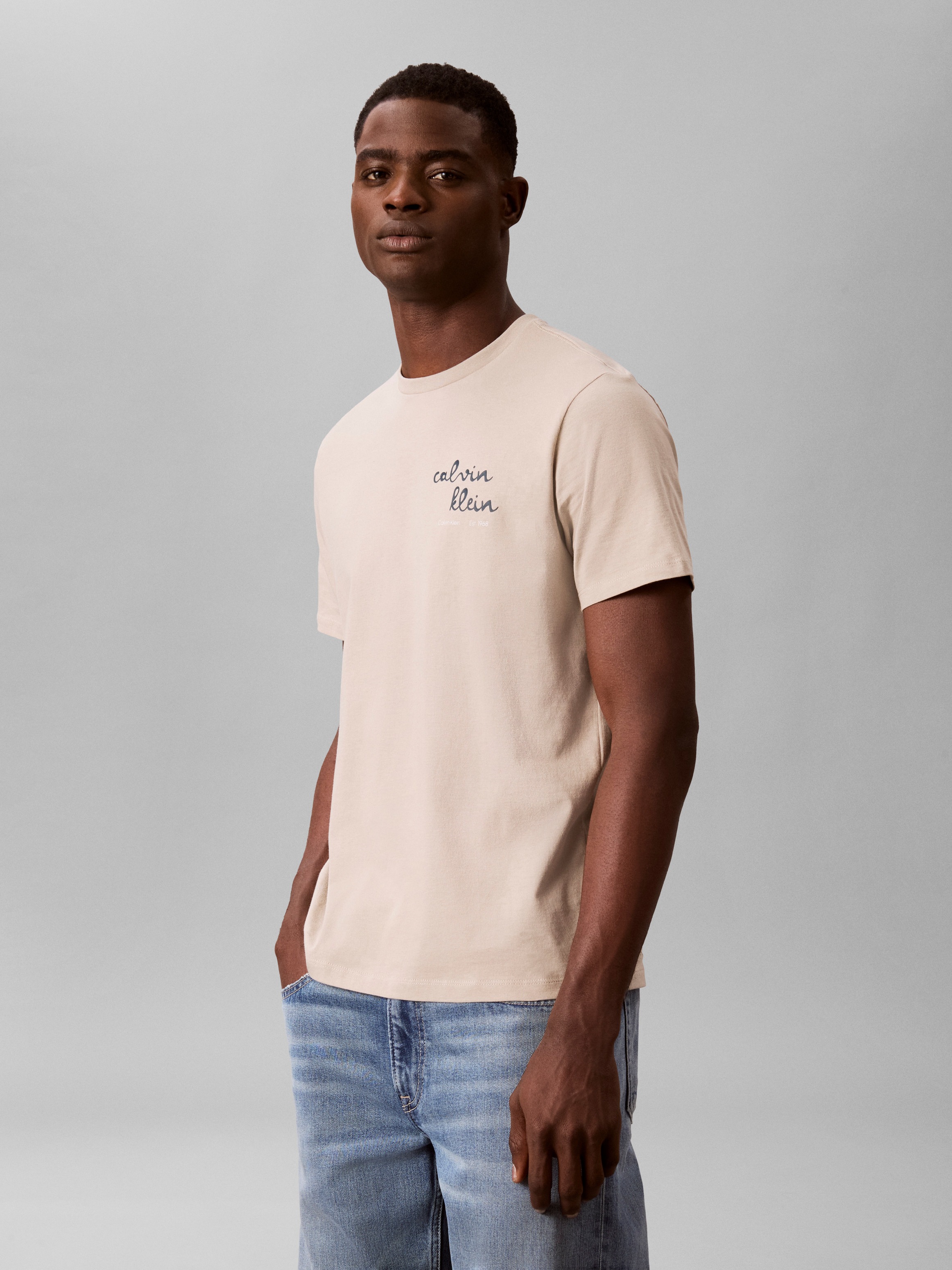 Calvin Klein T-Shirt »LINES SEASONAL« Regular fit mit Print