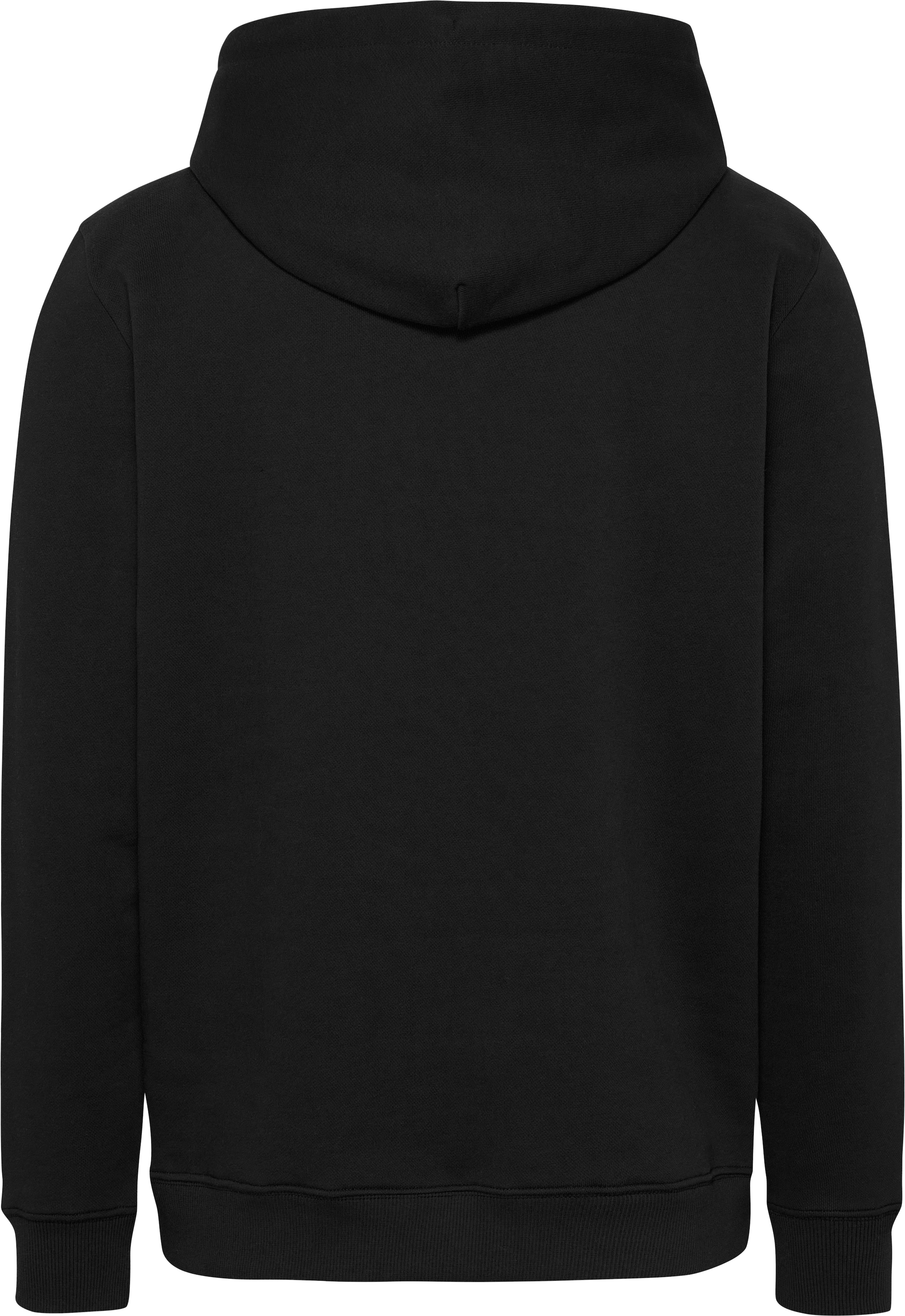 Tommy Jeans Hoodie »TJM REG DNA FLAG TWIST HOOD EXT«, mit großem Logo