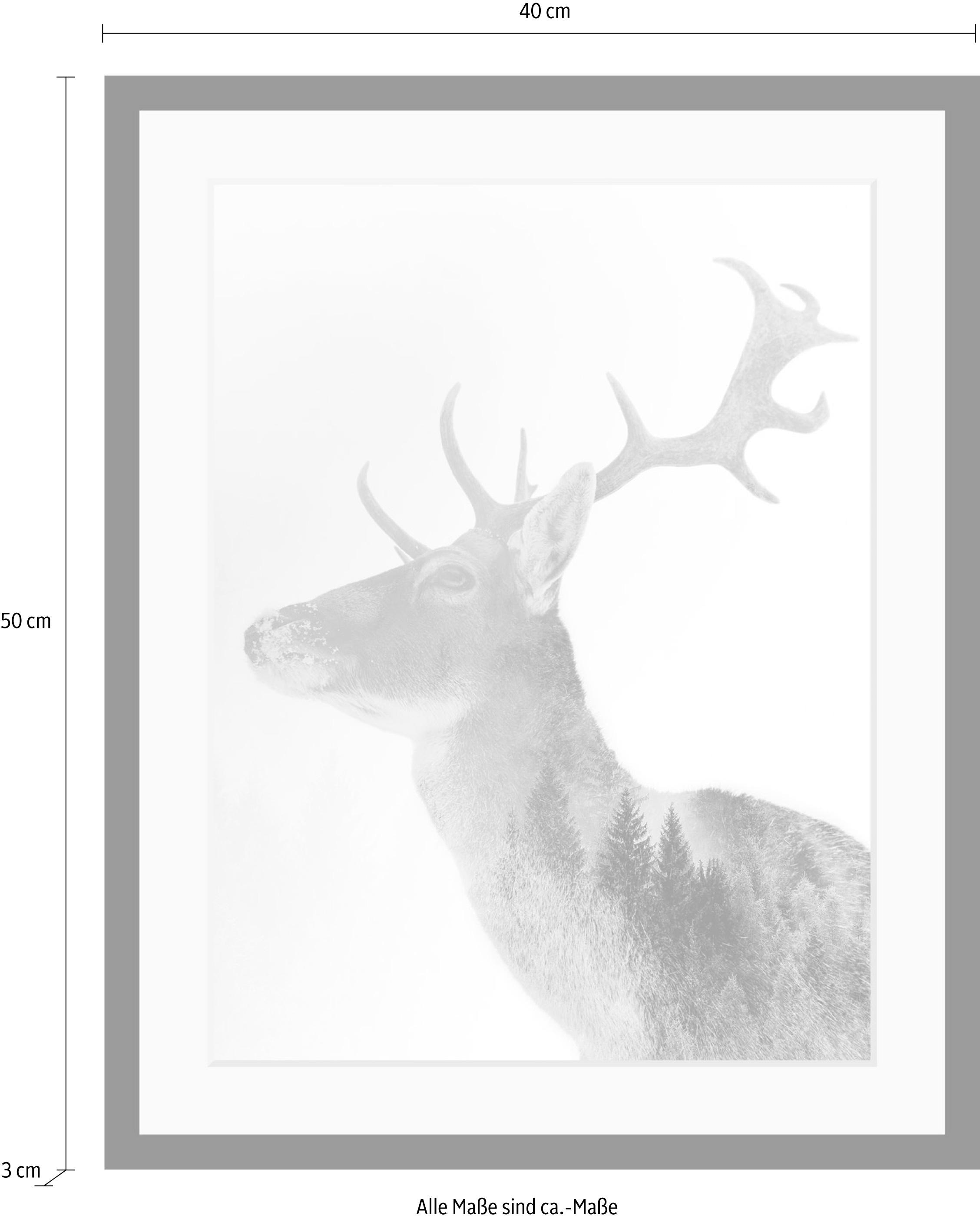queence Bild »Hirsch«, Hirsch-Tiere-Wildtiere-Hirschbilder-Wald-Waldbilder-Schwarz-Weiß, HD Premium Poster-Druck inkl. Holzrahmen