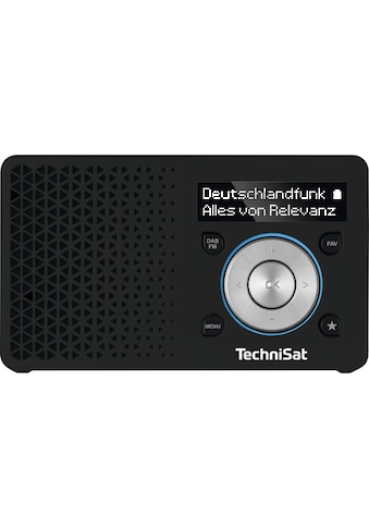 TechniSat UKW-Radio »DIGITRADIO 1« (UKW su RDS 1...