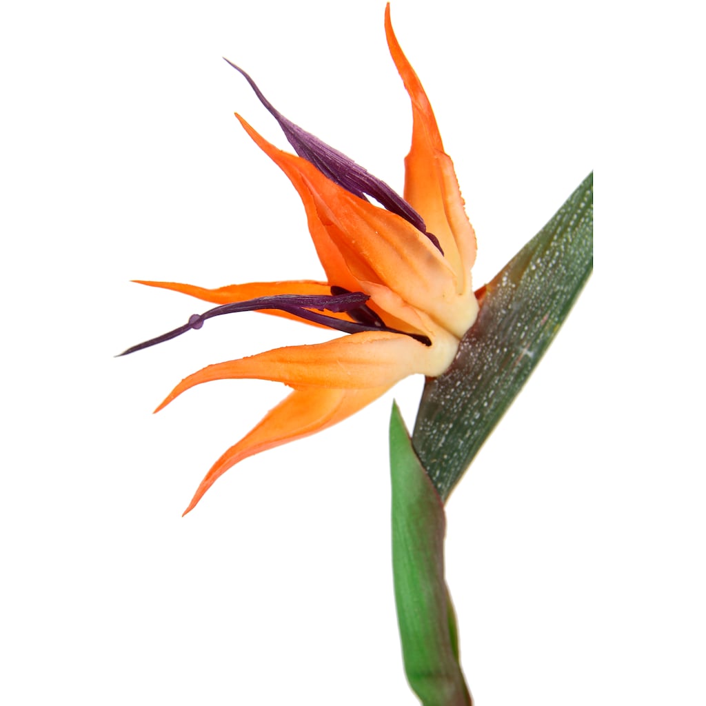 I.GE.A. Kunstblume »Künstliche Blume Strelitzie Paradiesvogelblume Exotischer Dekozweig«