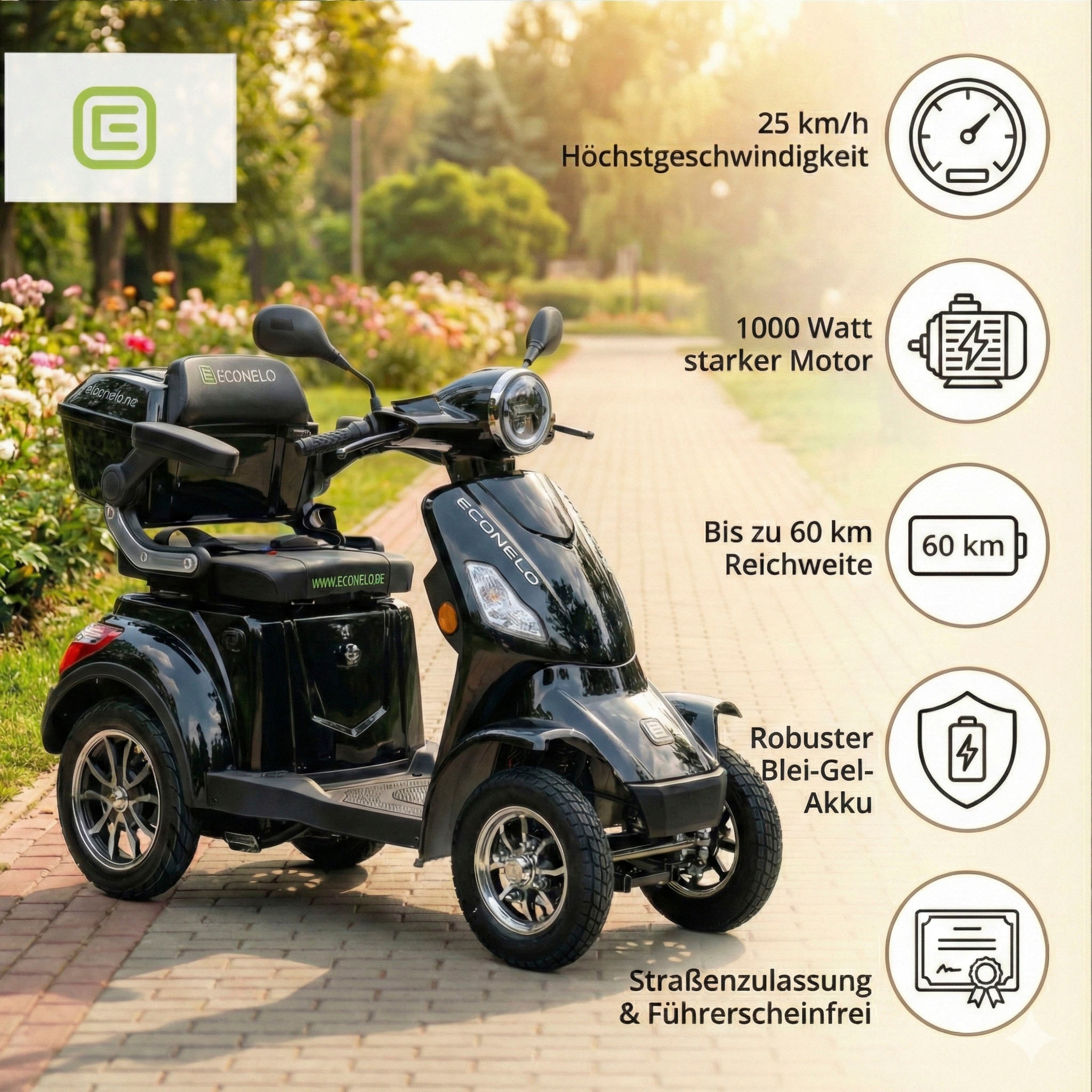 ECONELO Elektromobil »Seniorenmobil P4000, Blei-Akku, 25 km/h, 1000 Watt« 1.000 W 25 km/h