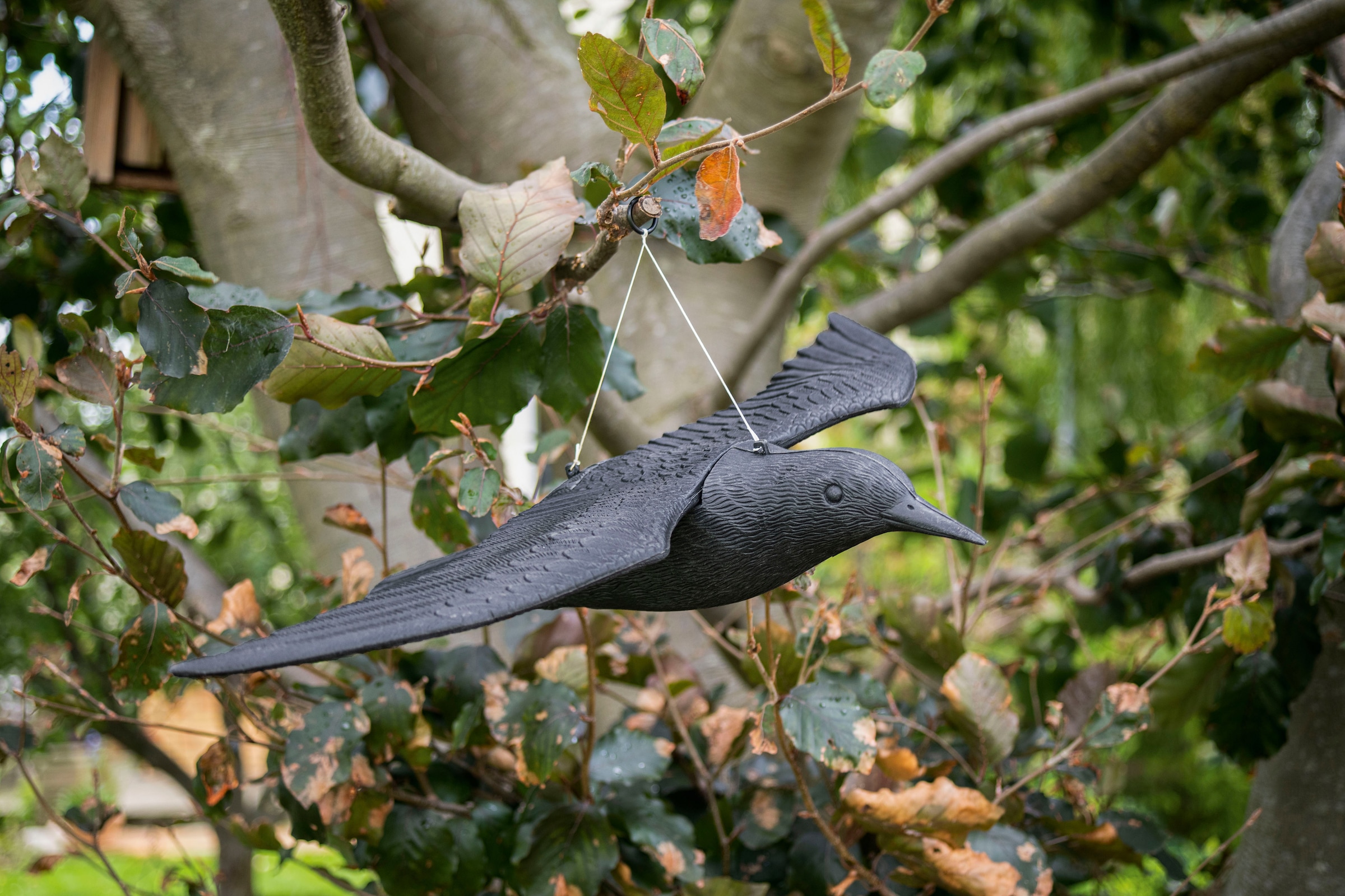 Gardigo Vogelattrappe »Vogel-Abwehr Falke«