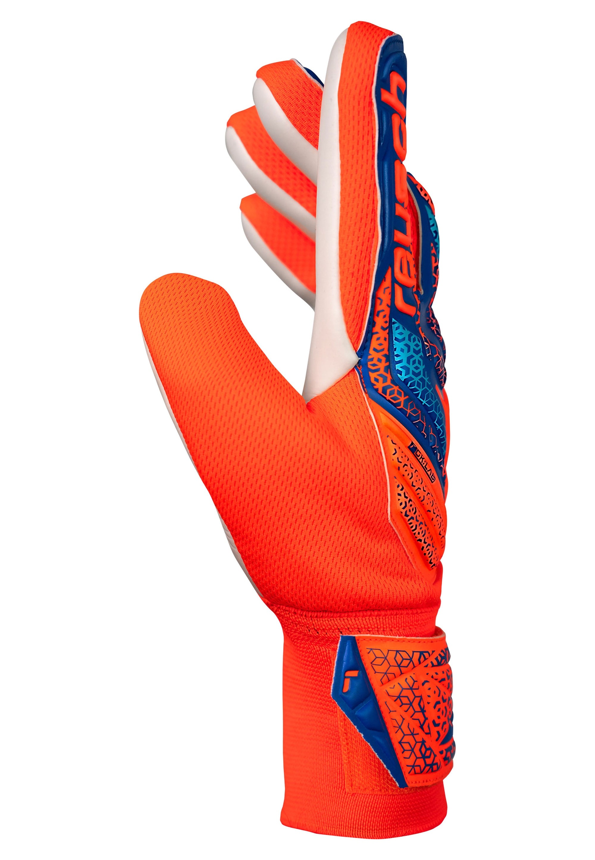 Reusch Torwarthandschuhe »Attrakt Starter Solid Junior«, mit Negative Cut
