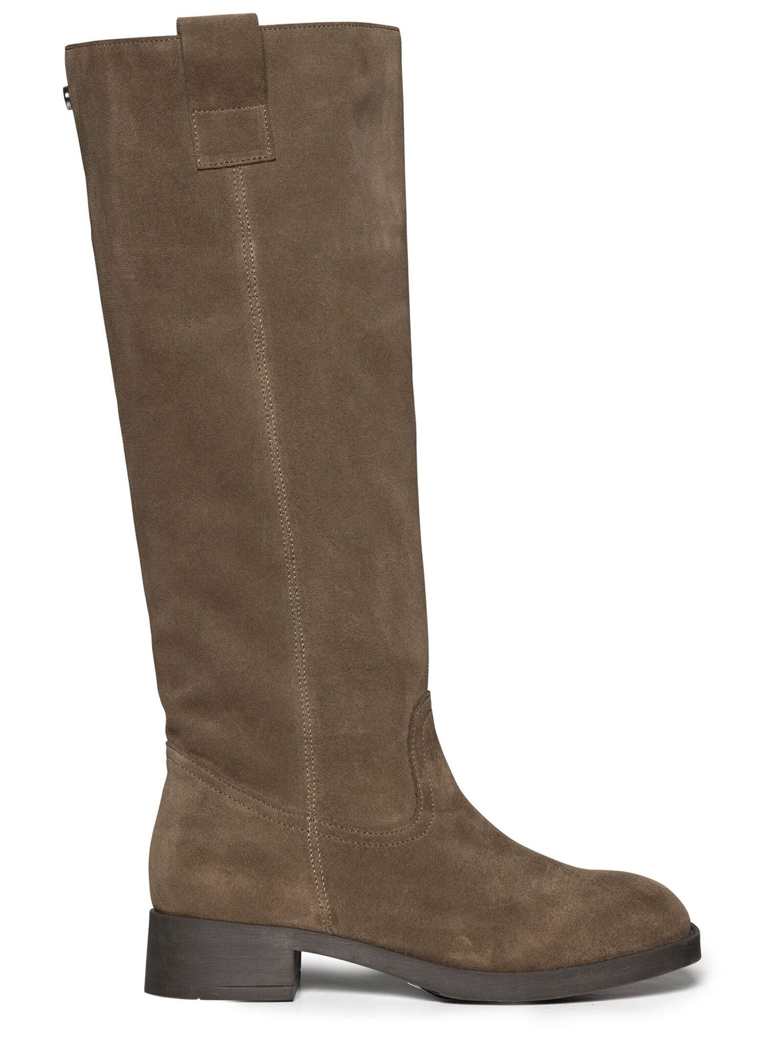 STEVE MADDEN Stiefel »STEVE MADDEN Stiefel Veloursleder«