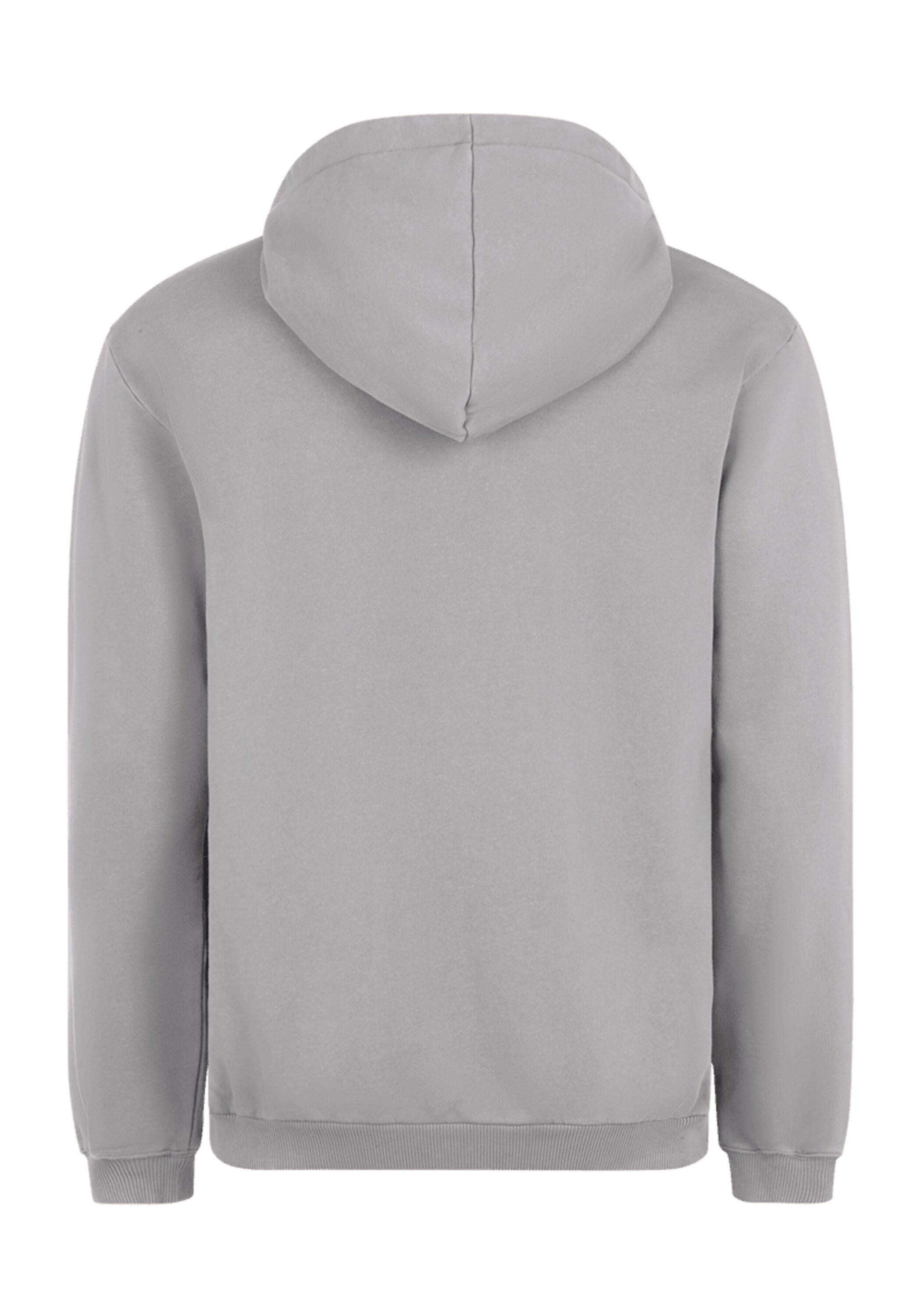 Fila Sweatshirt »Sweatshirt BISCHKEK hoody«