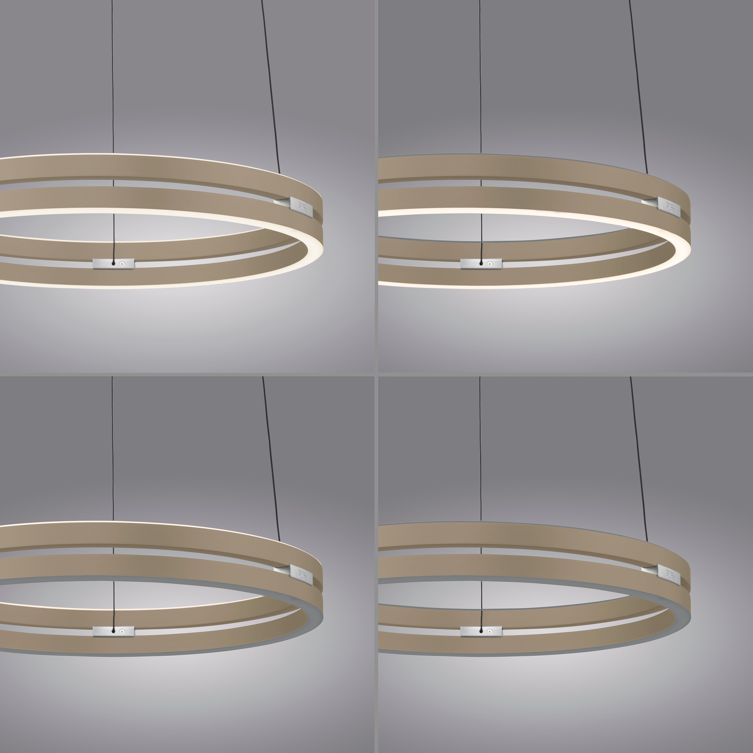 Neuhaus PURE LED Pendelleuchte »PURE E-Loop« LED-Board 1 Stk. warmweiß - kaltweiß e-LIFT® Funktion, CCT, dimmbar über Fernbedienung