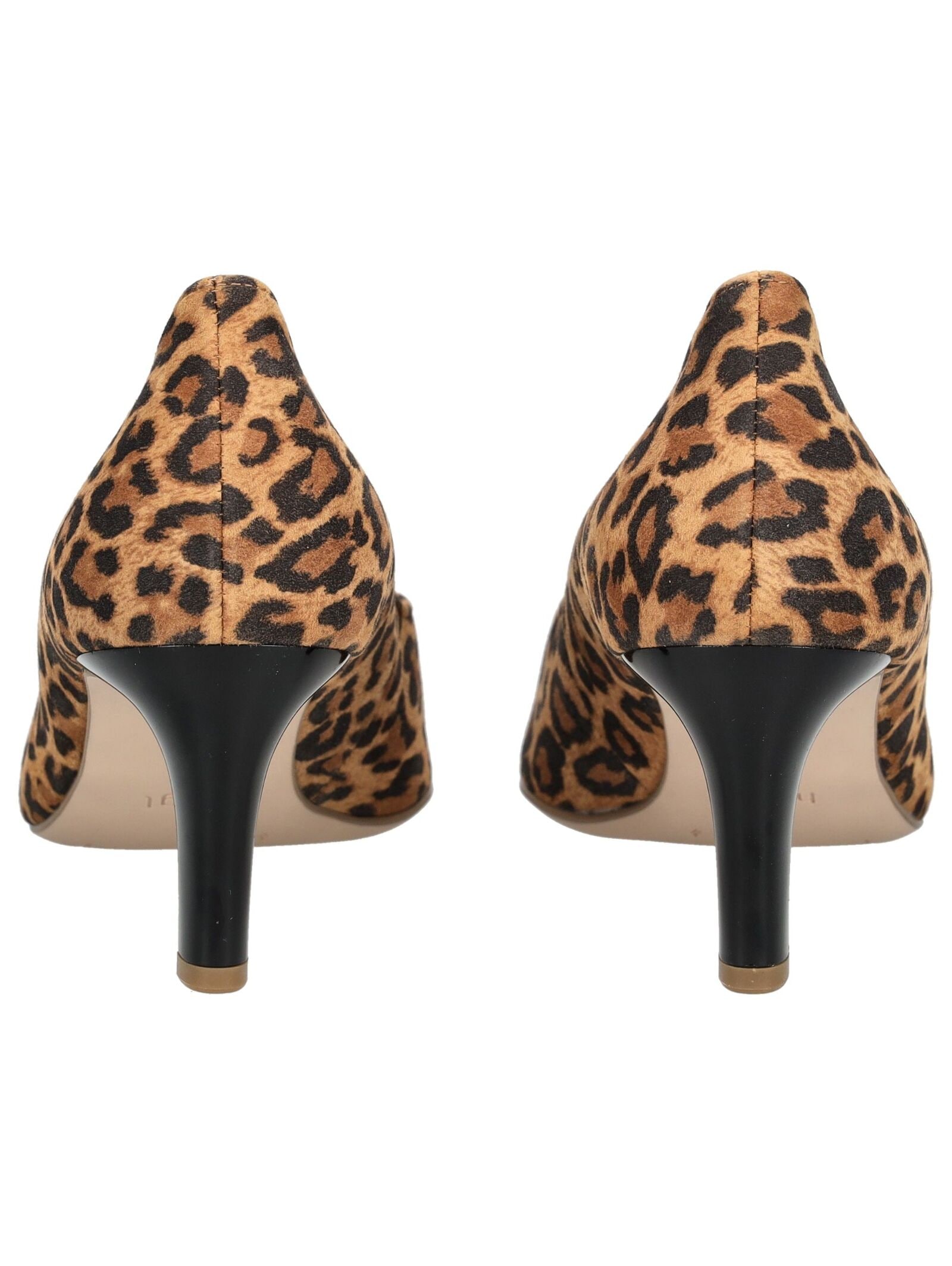 Högl Pumps »Högl Pumps Leder«