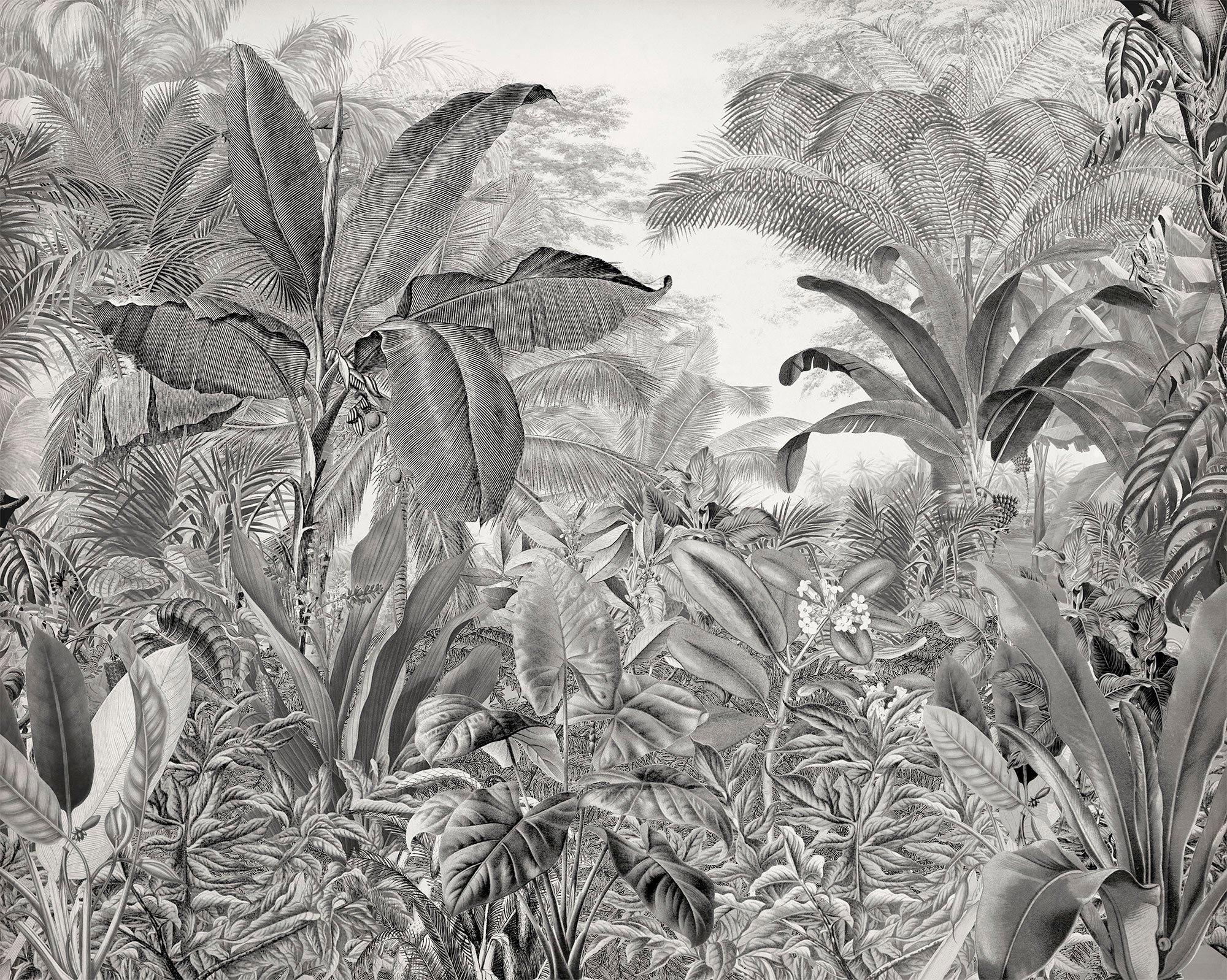 Komar Vliestapete »Roraima« 350x280 cm (Brei...