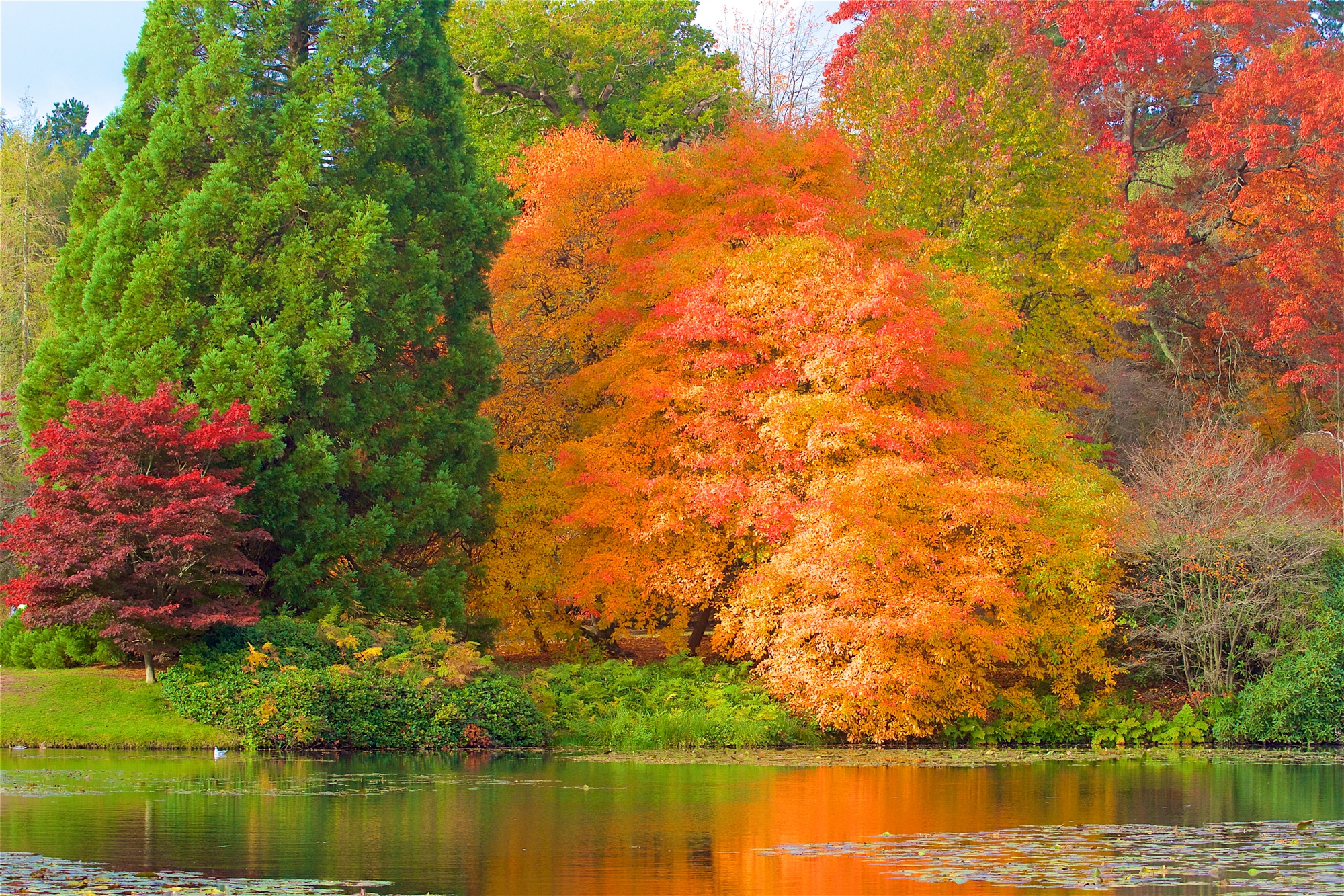 Papermoon Fototapete "HERBST-WALD-BAUM FLUSS BLUMEN NATUR PFLANZE SONNE WIESE"