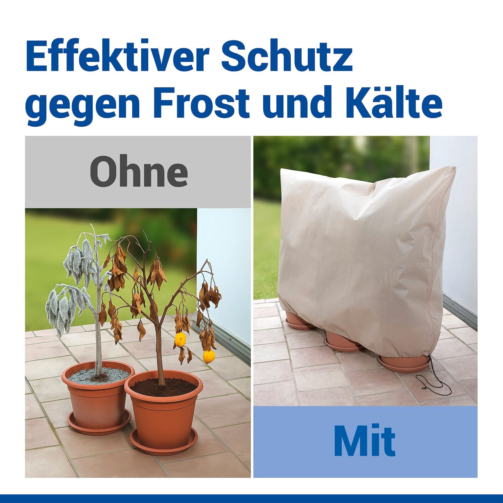 Maximex Winterschutzhaube »Pflanzenschutz-Vlies, 180x120 cm« reißfestes Vlies, mit Reißverschluss und Zugband, BxH: 180x120 cm