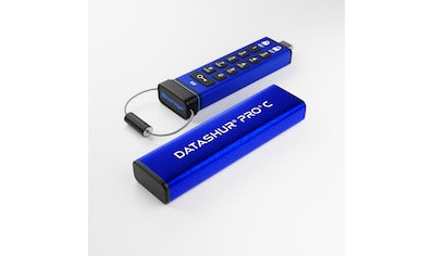 USB-Stick »datAshur Pro+C«, (USB 3.2 Lesegeschwindigkeit 310 MB/s)