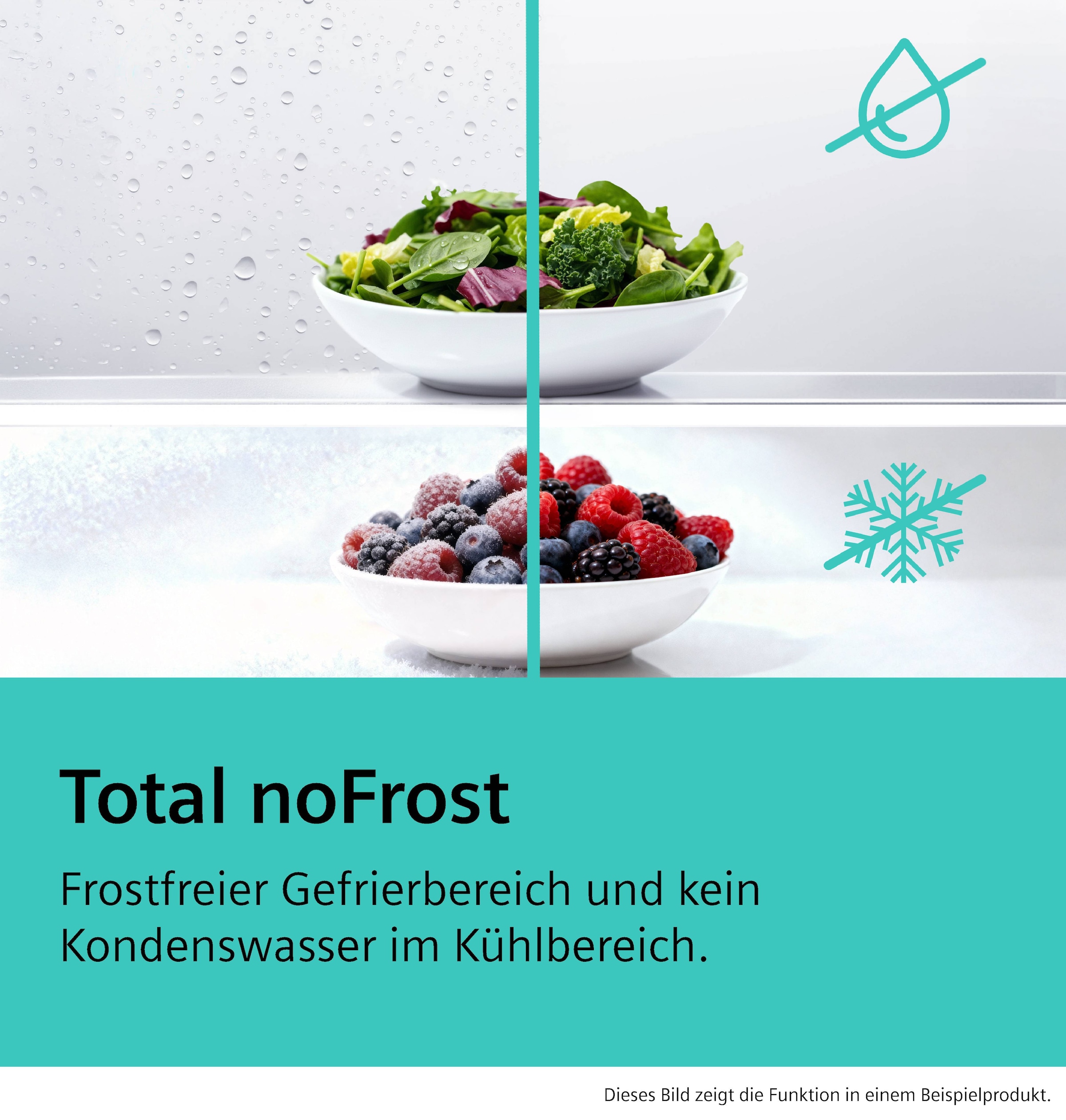 SIEMENS Kühl-/Gefrierkombination iQ300 »KG49NVXCG« 203 cm hoch 70 cm breit hyperFresh System für frisches Obst und Gemüse sowie Total noFrost