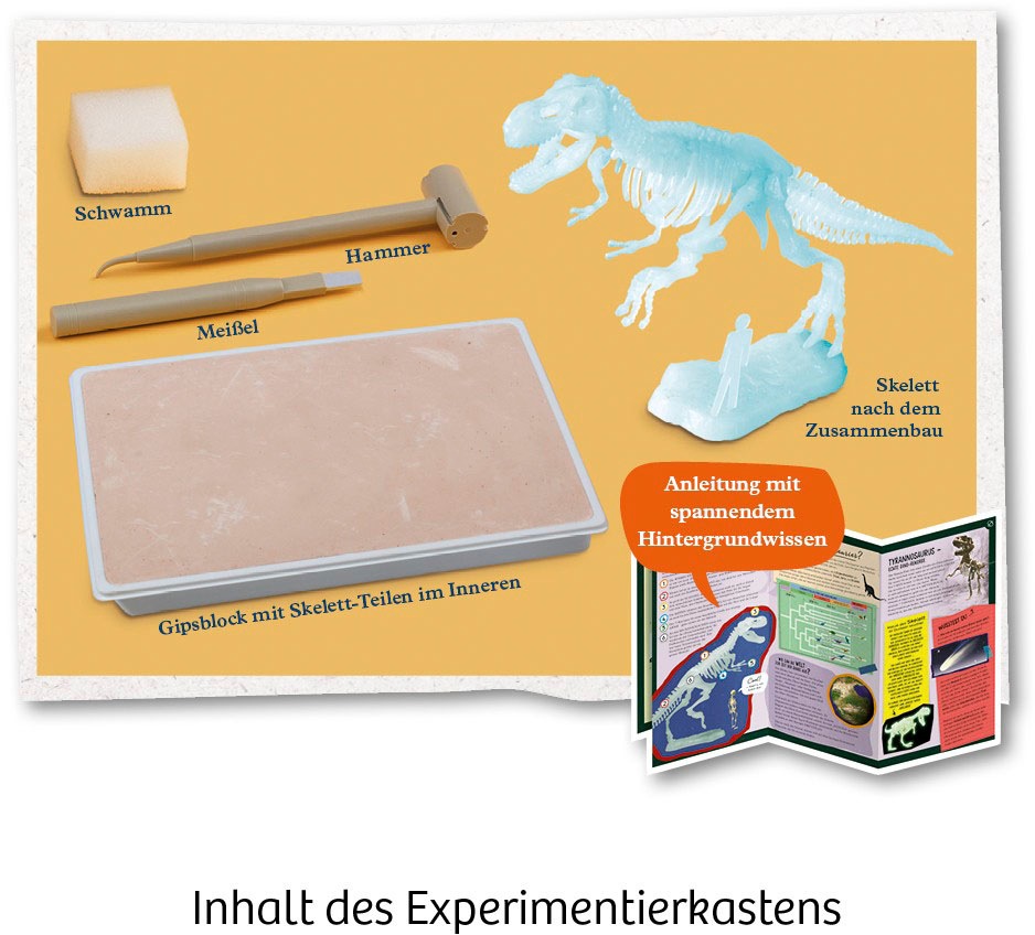 Kosmos Experimentierkasten »Nachtleuchtender T-REX«
