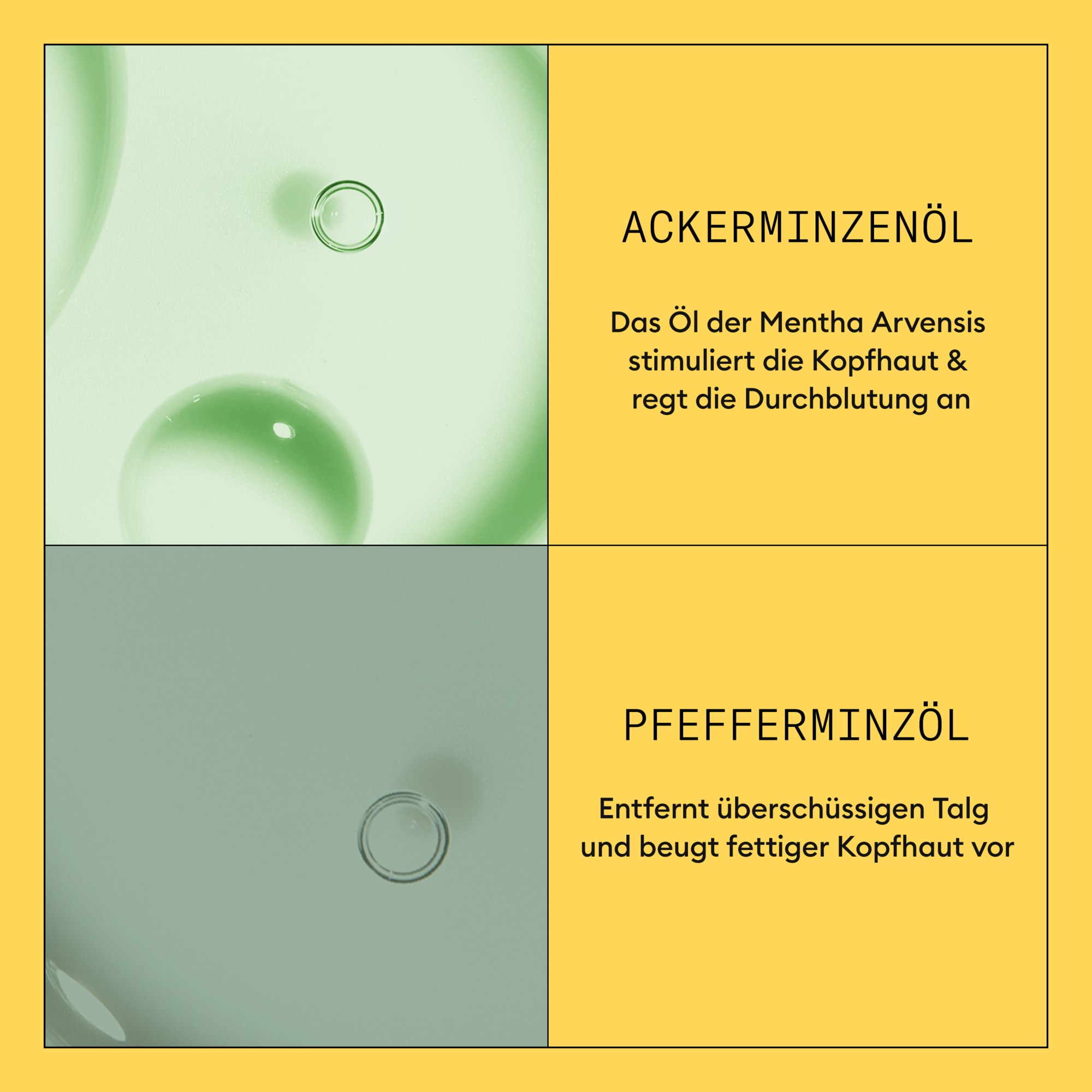 Nioxin Haarspülung »NIOXIN SCALP + HAIR SYSTEM 1 CONDITIONER« nährende Spülung, beugt dünner werdendes Haar vor