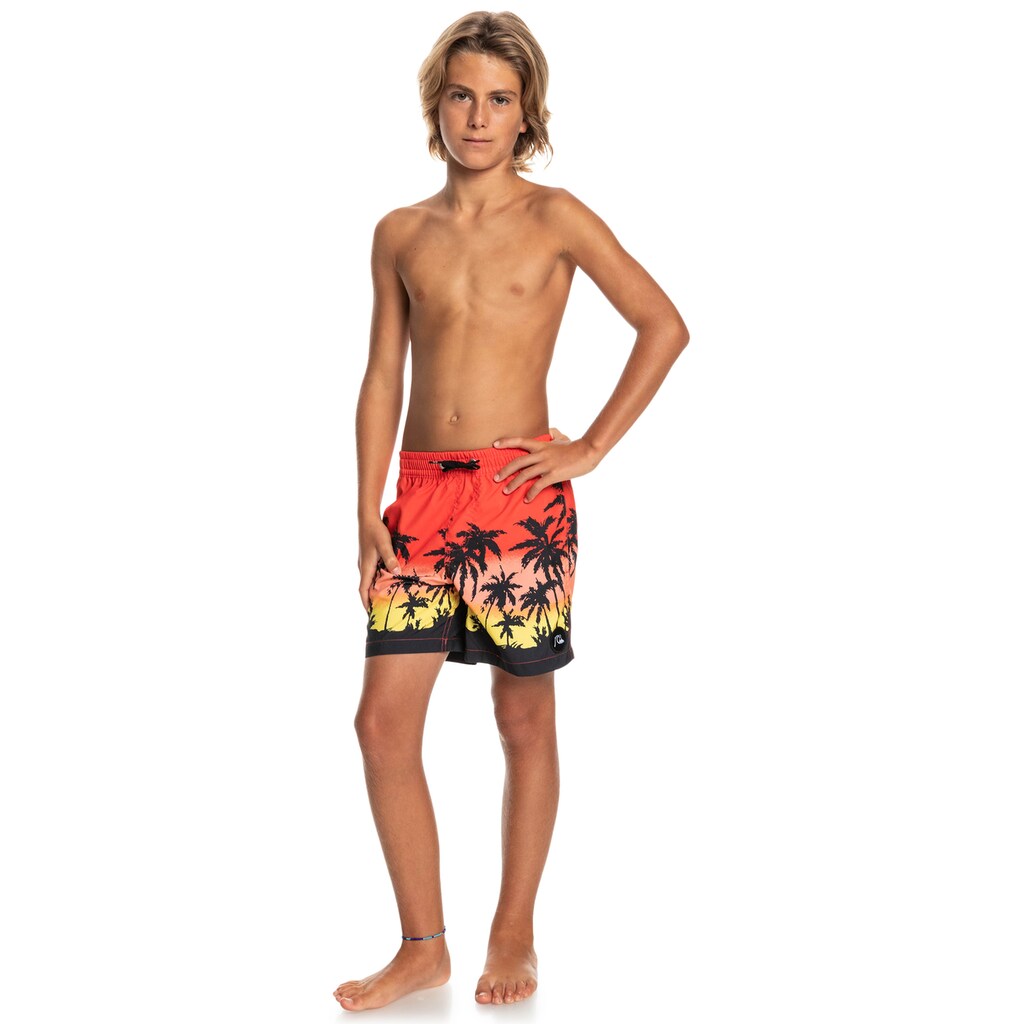 Quiksilver Boardshorts »Everyday Paradise 14"«