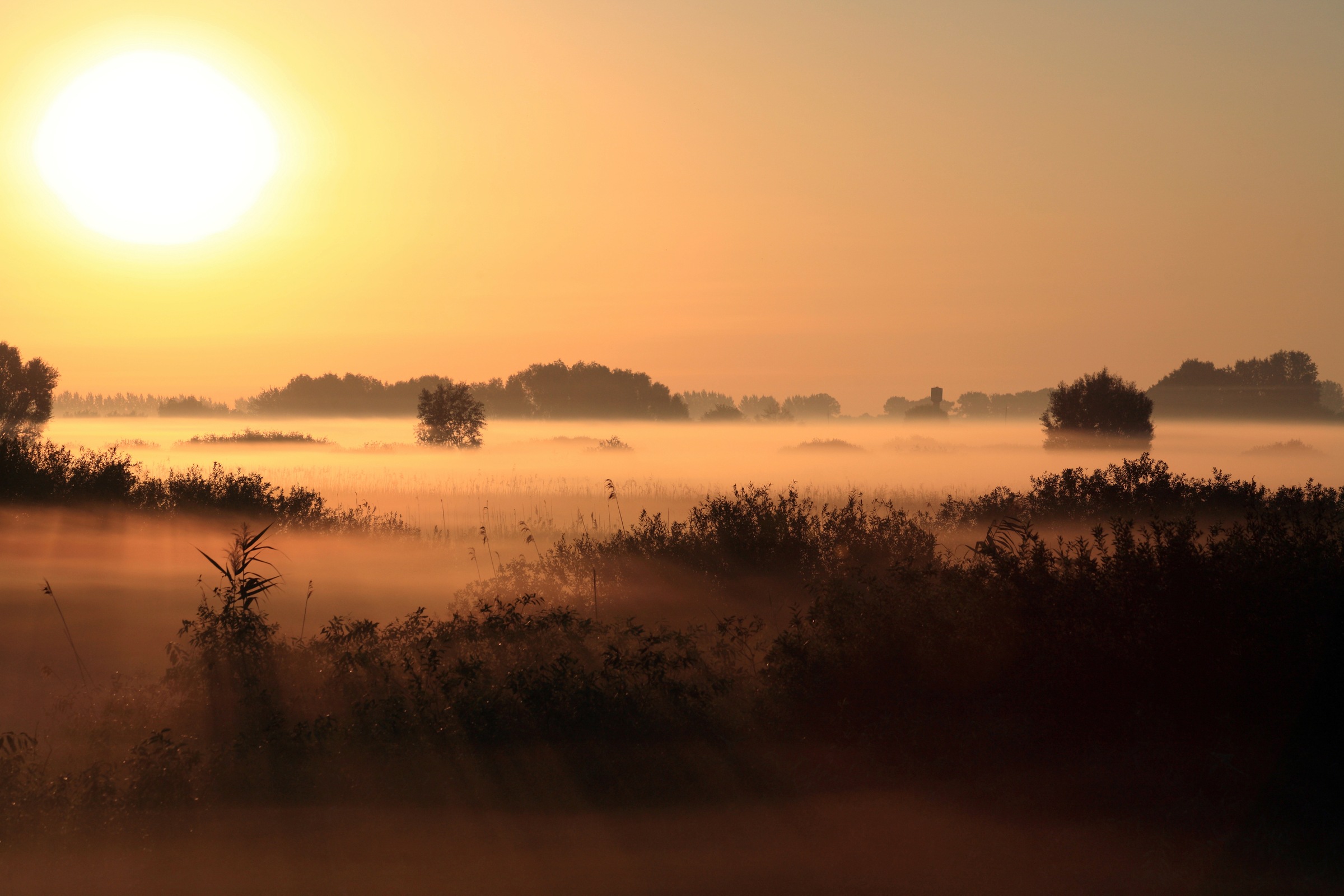 Papermoon Fototapete »SONNENUNTERGANG NEBEL LANDSCHAFT«