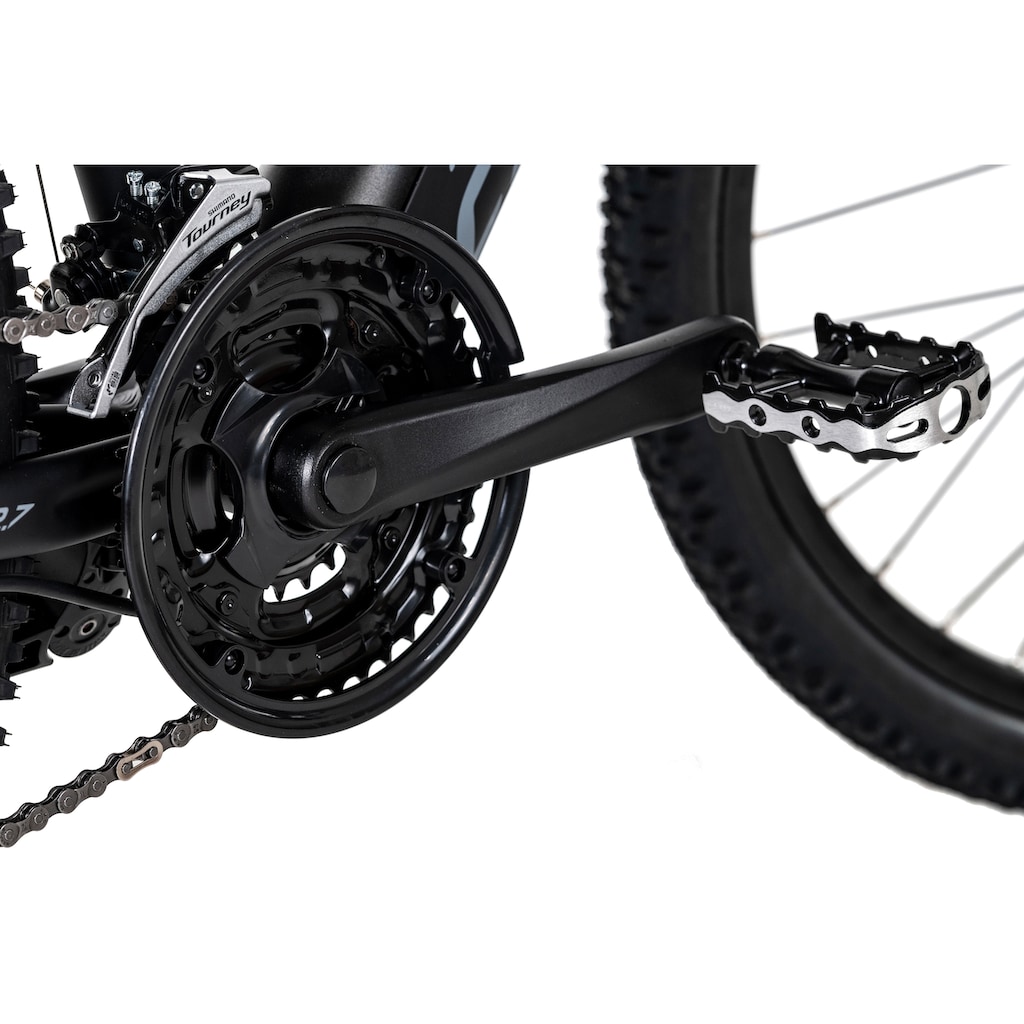 Adore E-Bike »Enforce«, 24 Gang, Shimano, Acera, Heckmotor 250 W