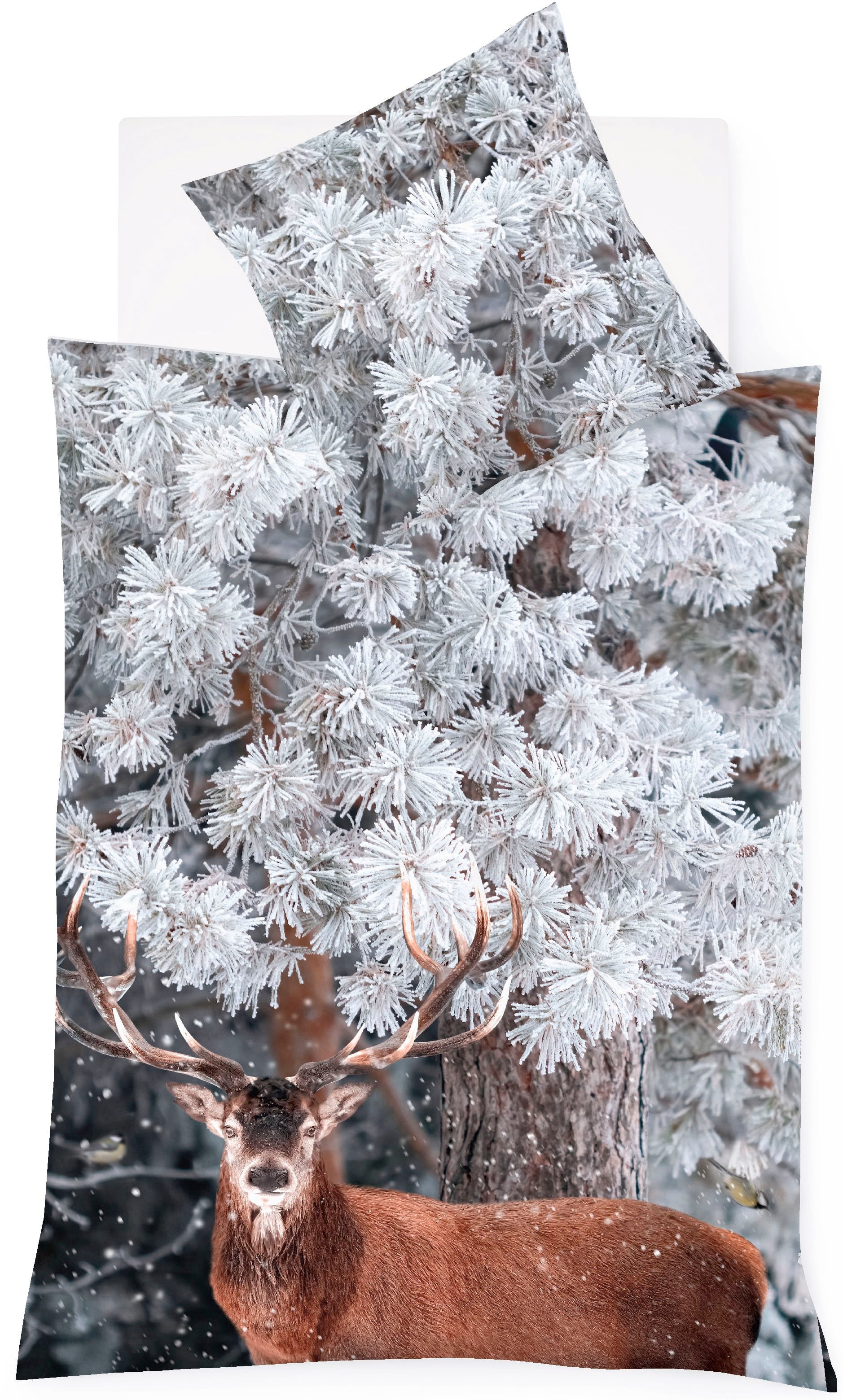 fleuresse Bettwäsche "Aspen 4381" 2 Stk. tlg. Feinbiber, Baumwolle, in Gr. günstig online kaufen