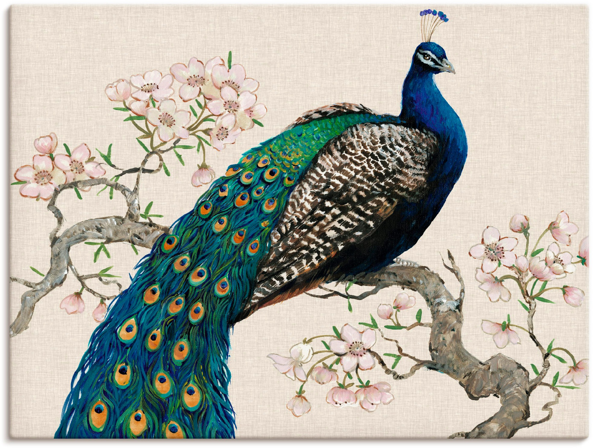 Artland Wandbild »Pfau & Blüten I«, Vögel, (1 St.), als Alubild,  Leinwandbild, Wandaufkleber oder Poster in versch. Größen kaufen