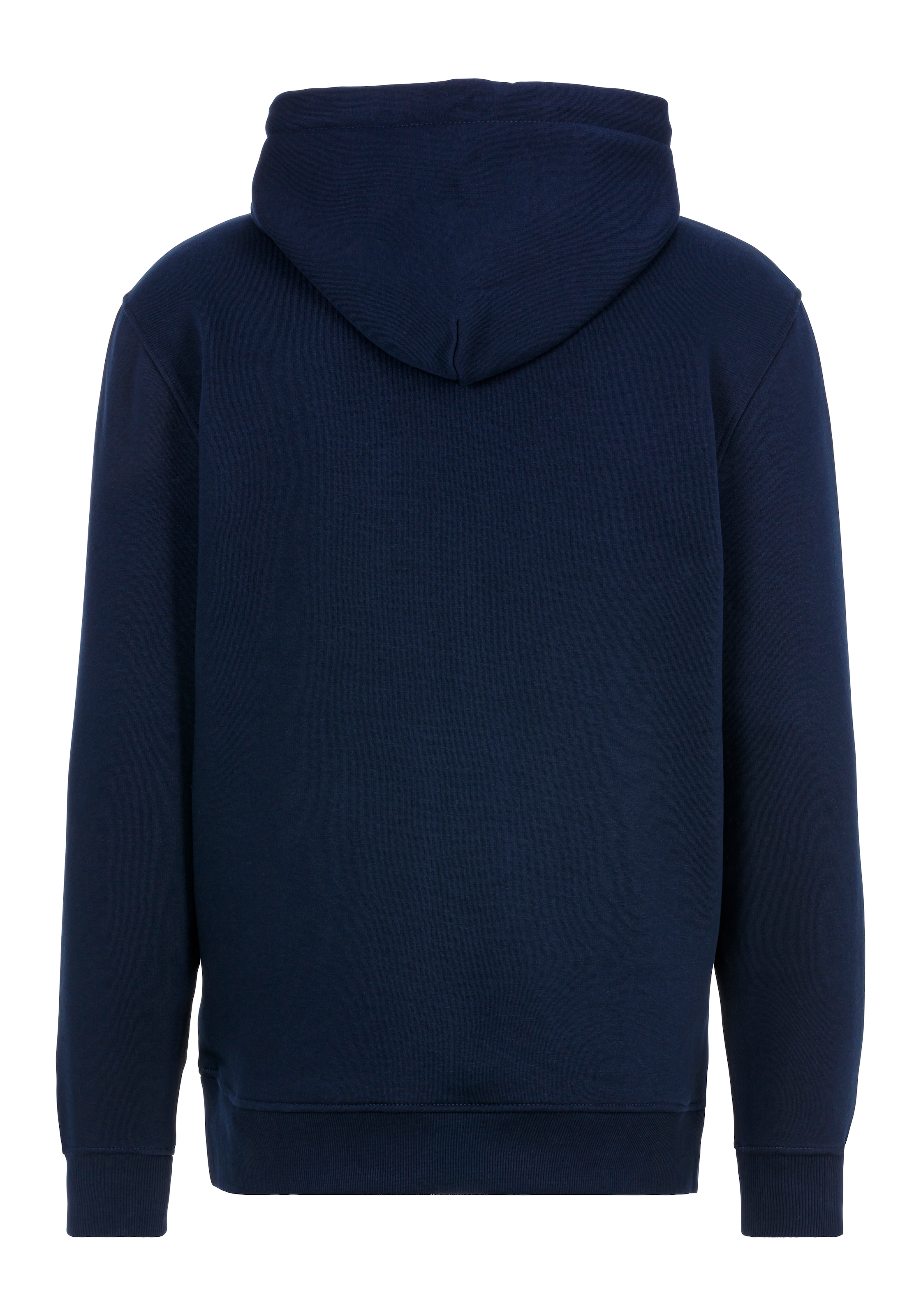 Tommy Jeans Hoodie TJM REG LINEAR LOGO HOODIE EXT mit Logo-Stickerei günstig online kaufen